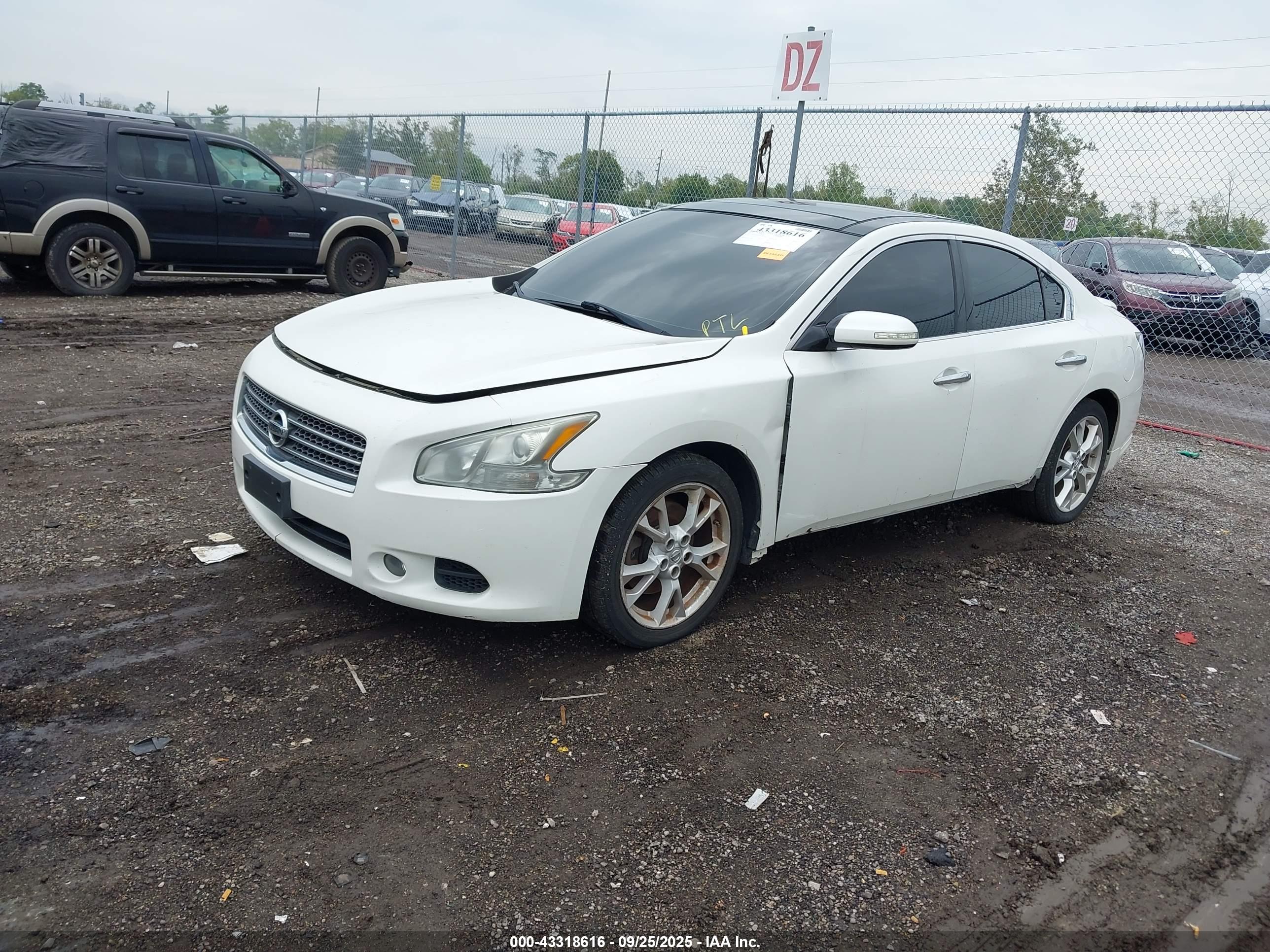 NISSAN MAXIMA image 2