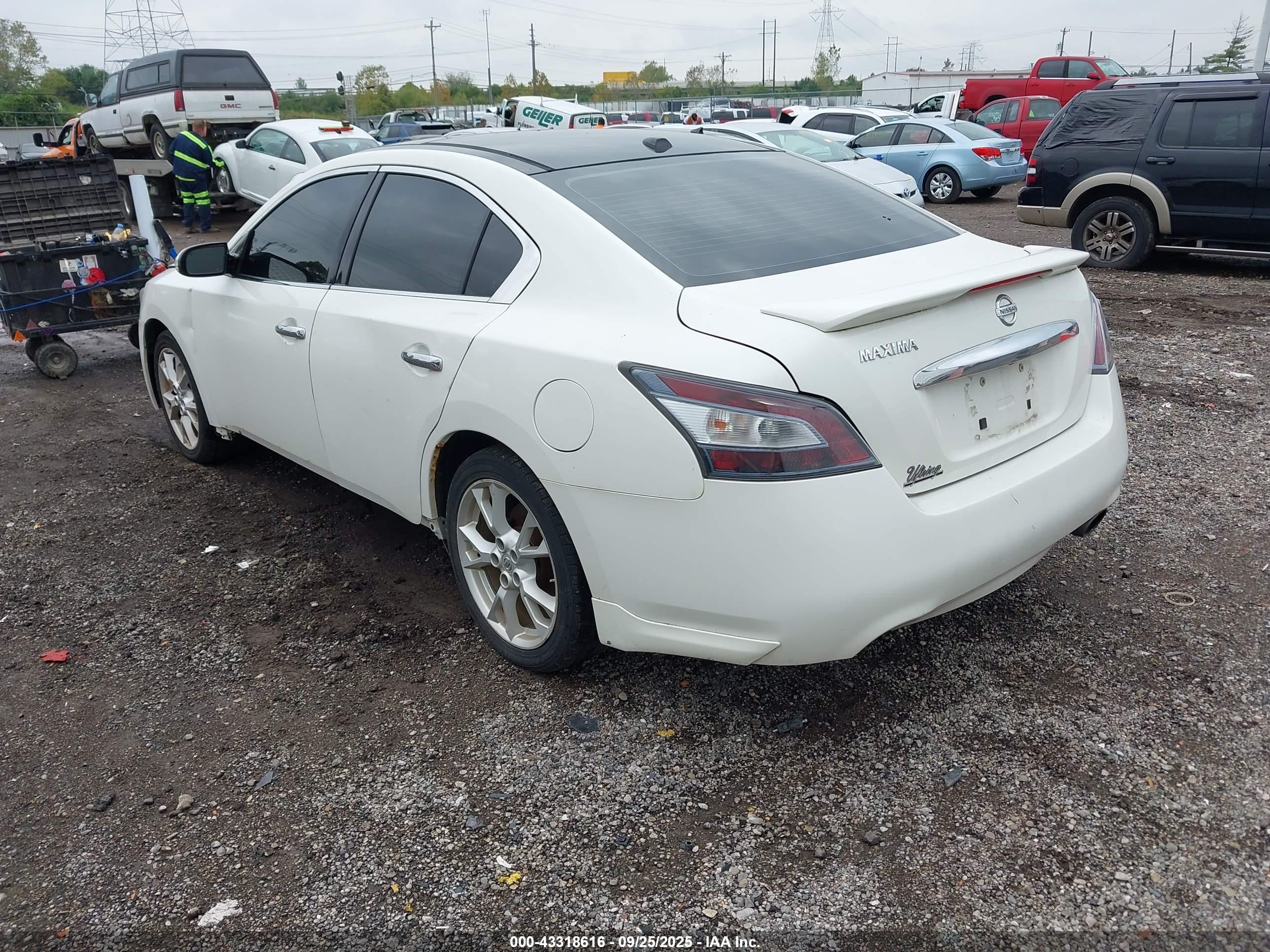 NISSAN MAXIMA image 3