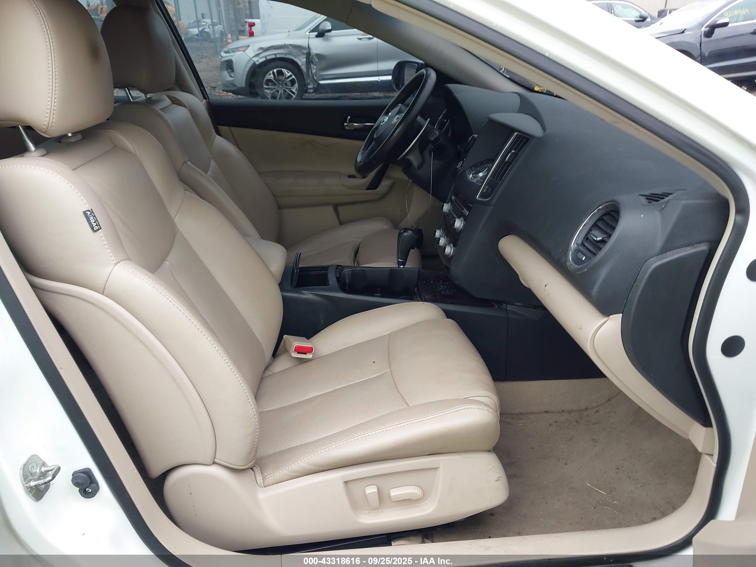 NISSAN MAXIMA image 5