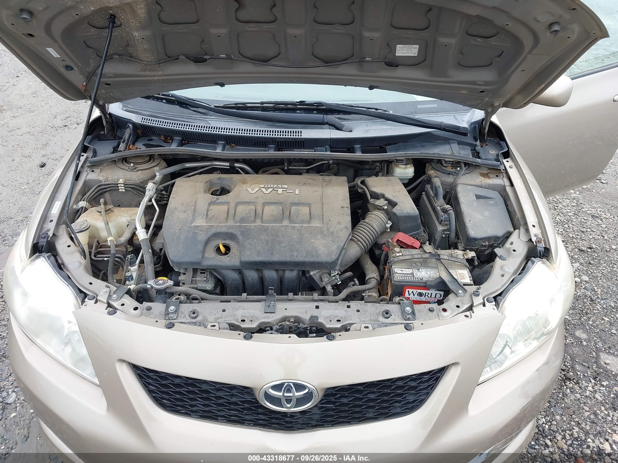 TOYOTA COROLLA image 10