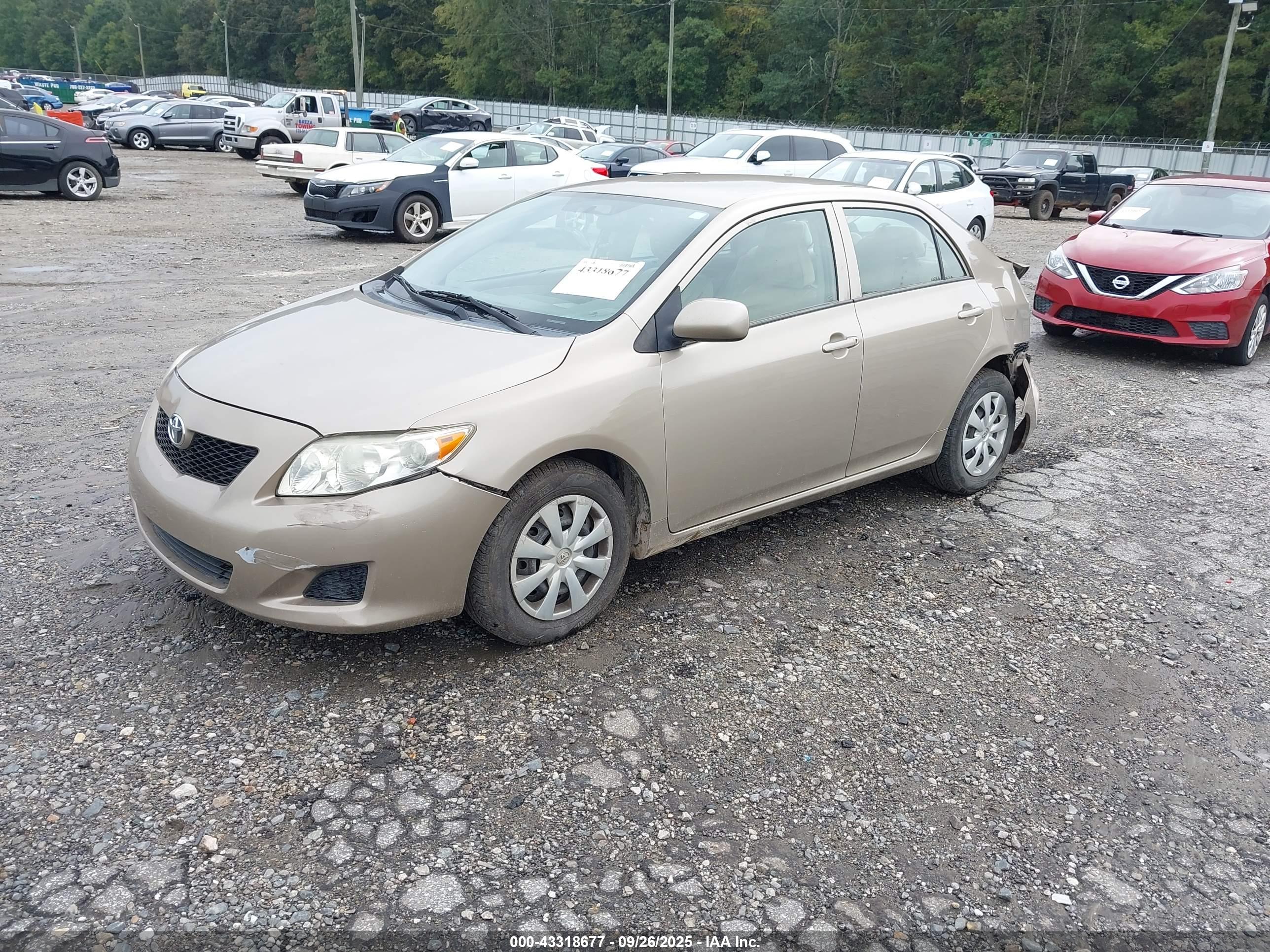 TOYOTA COROLLA image 2