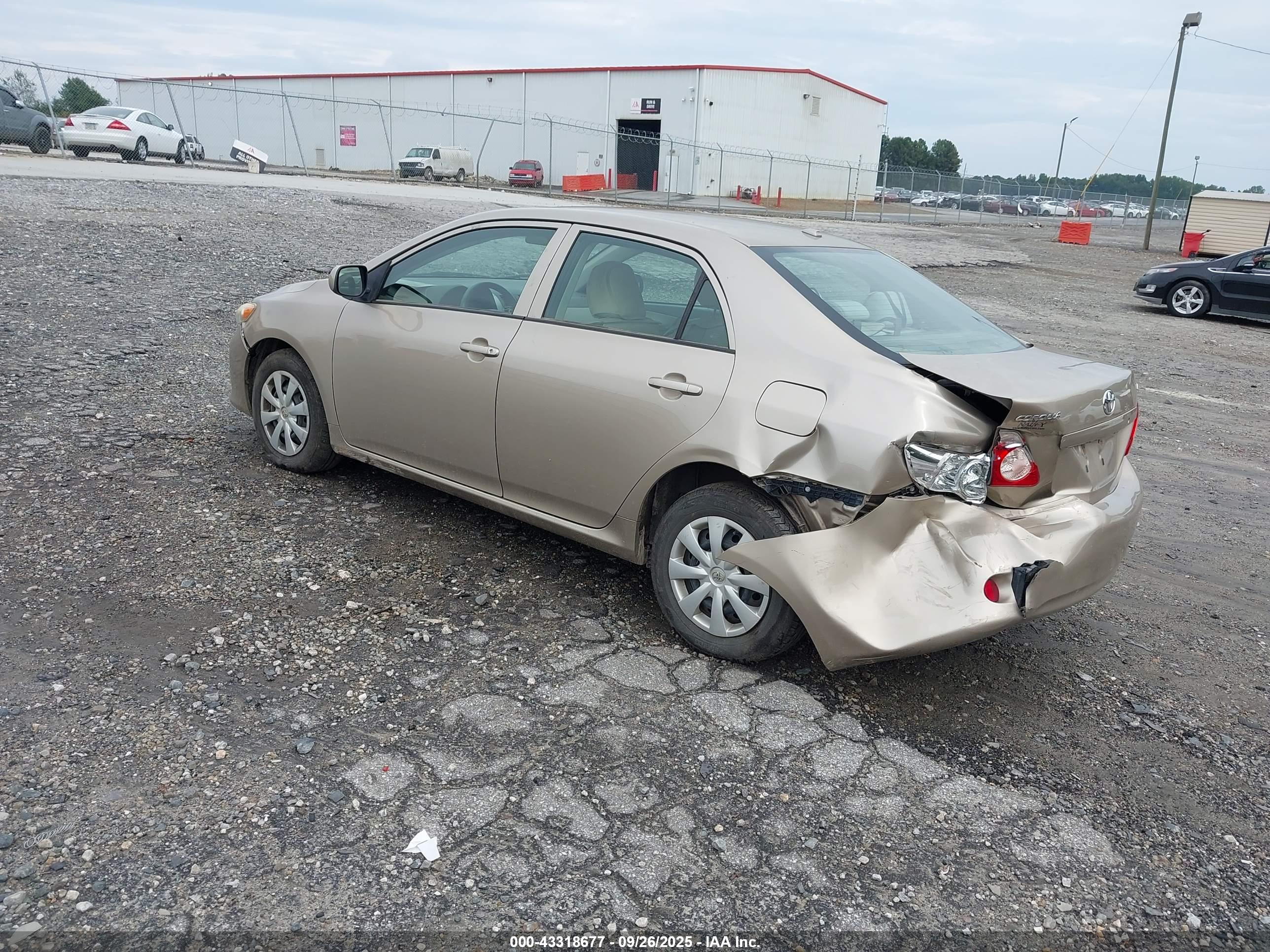 TOYOTA COROLLA image 3