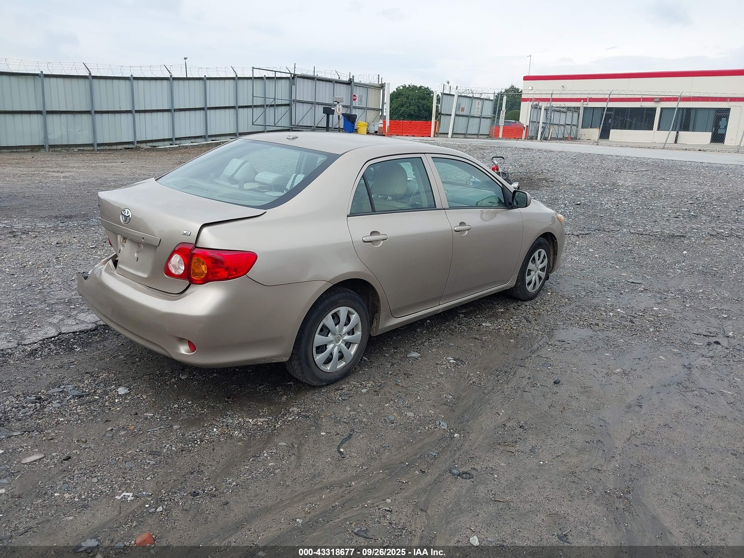 TOYOTA COROLLA image 4