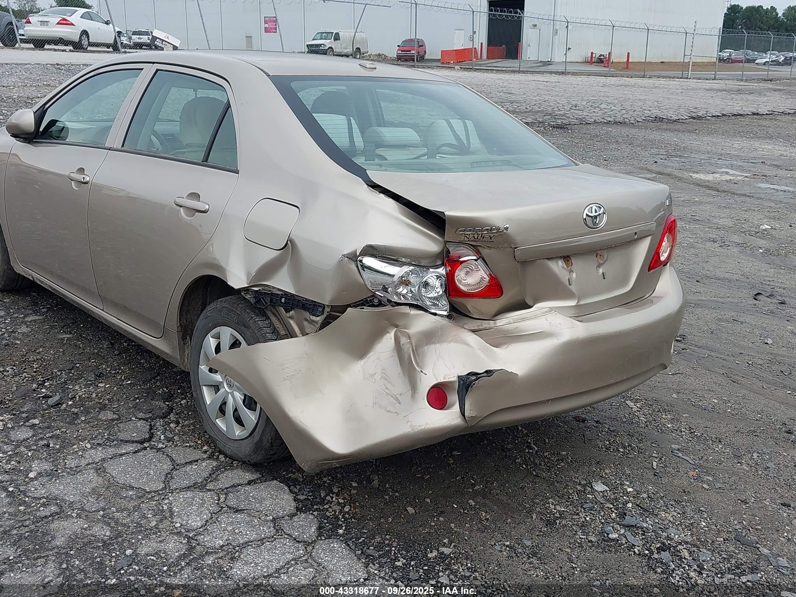 TOYOTA COROLLA image 6