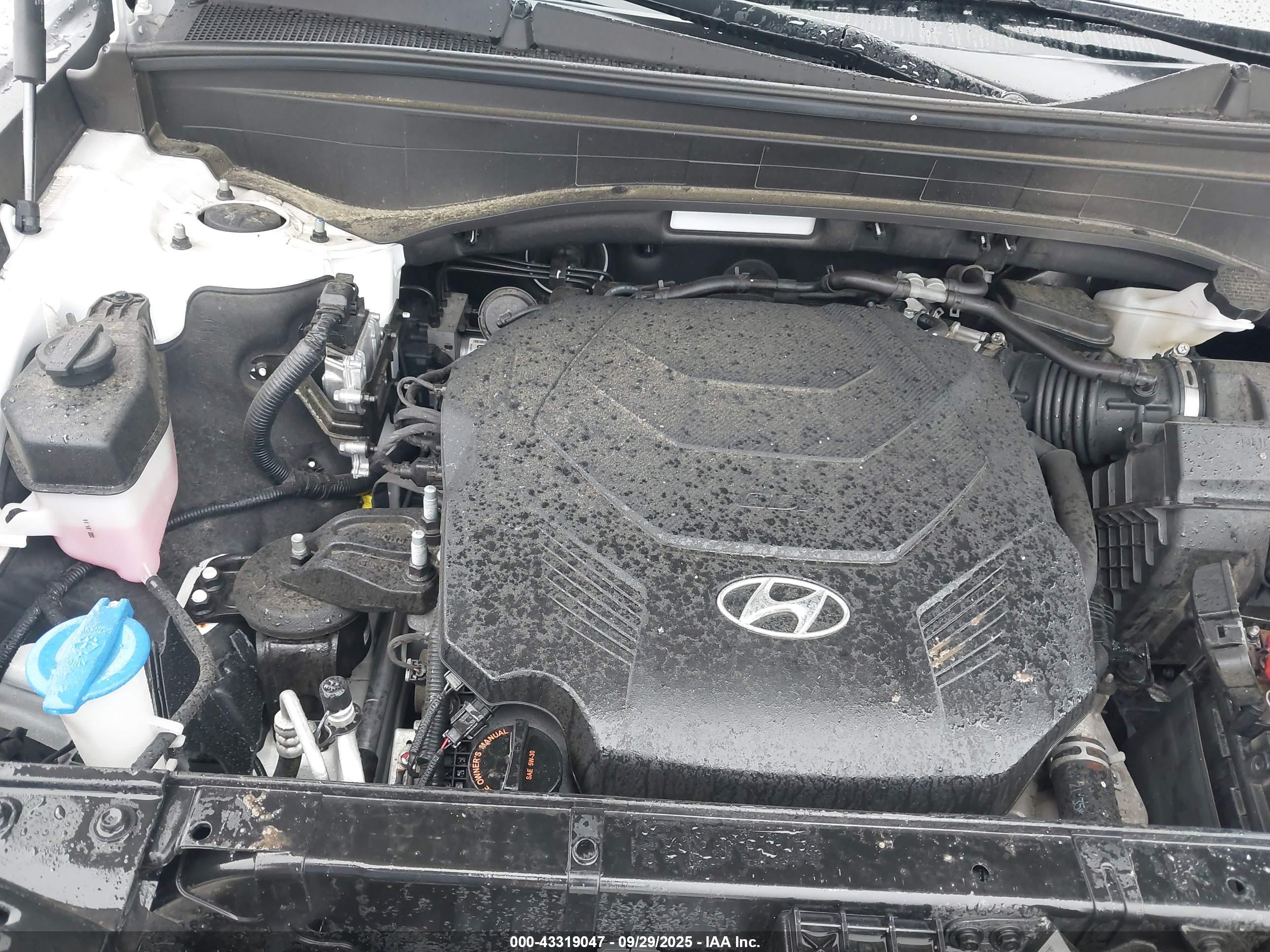 HYUNDAI PALISADE image 10