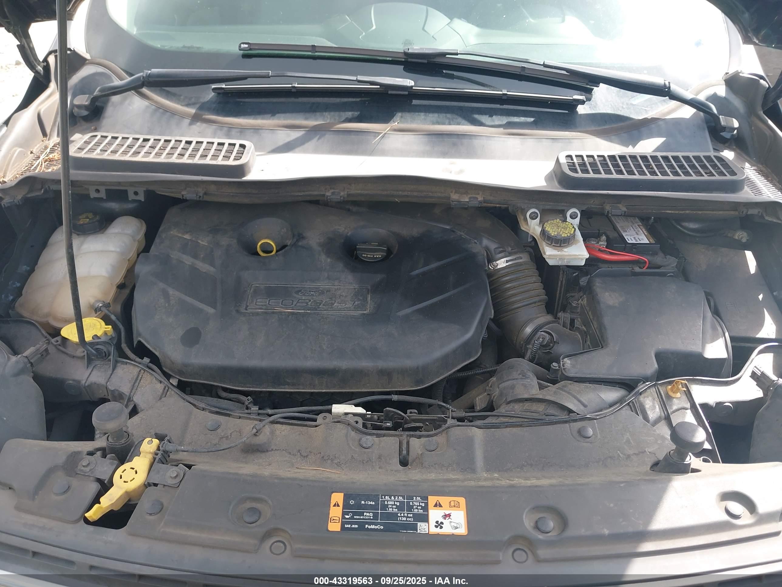 FORD ESCAPE image 10