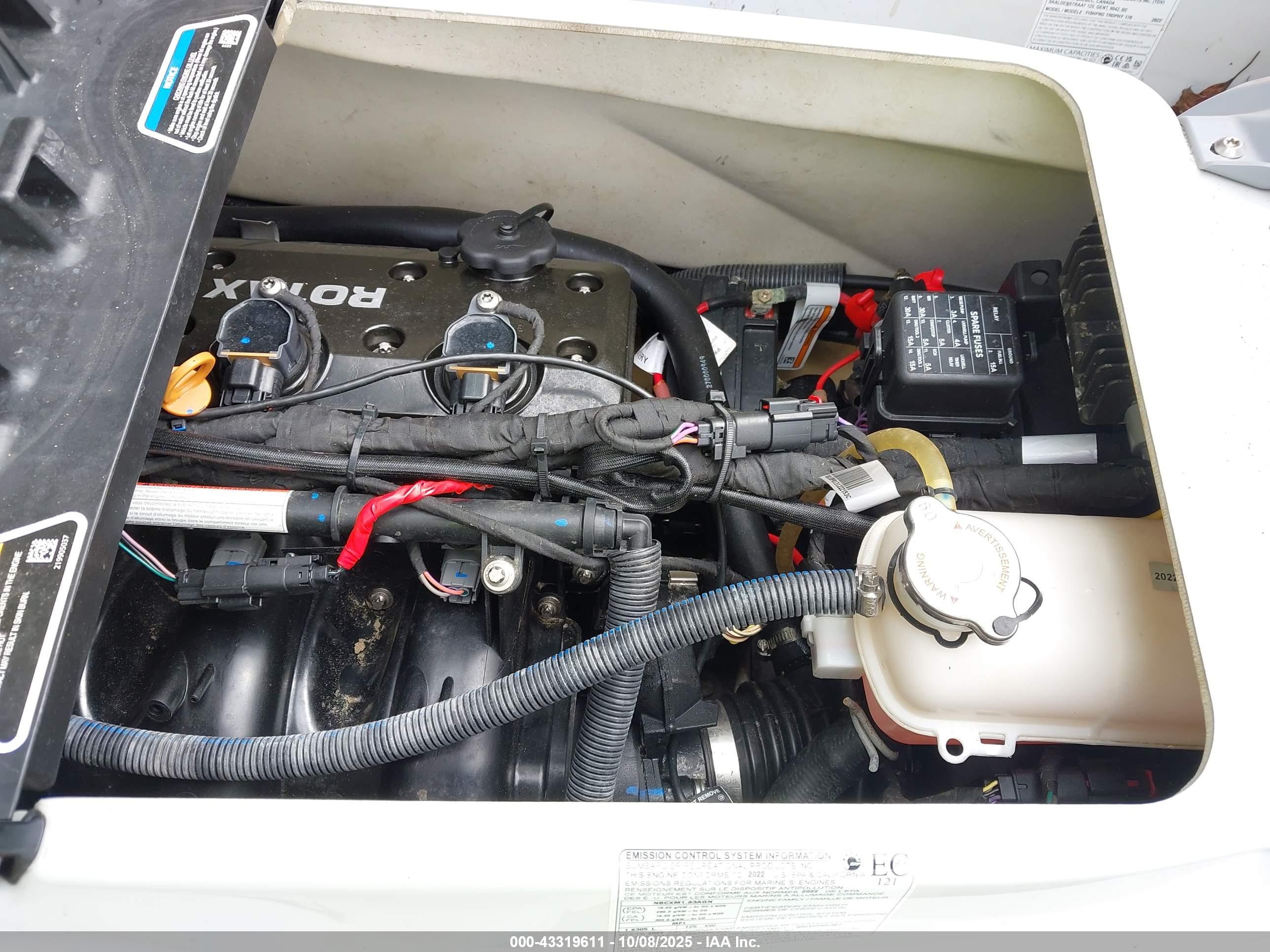 SEADOO FISH image 10