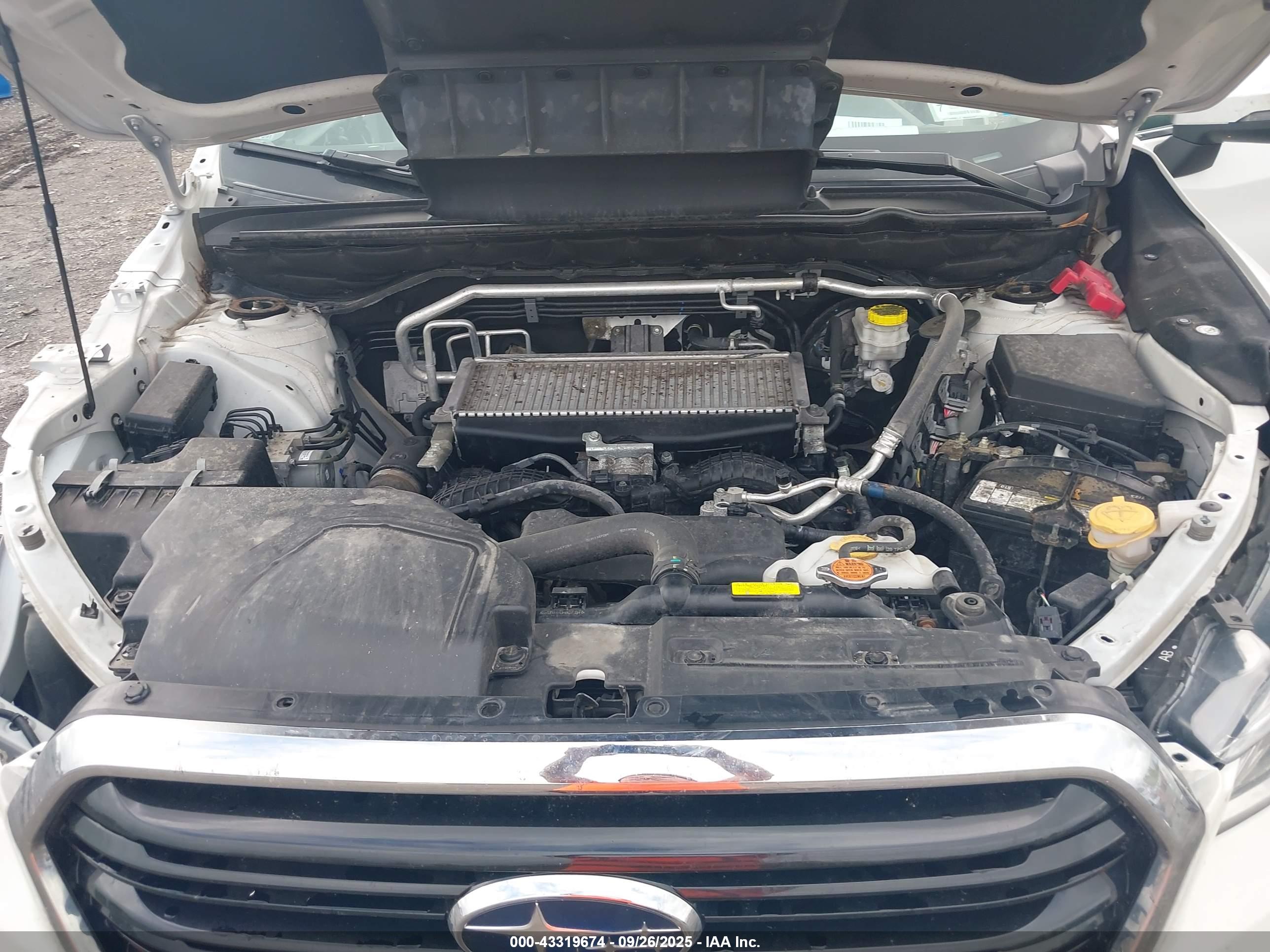 SUBARU ASCENT image 10