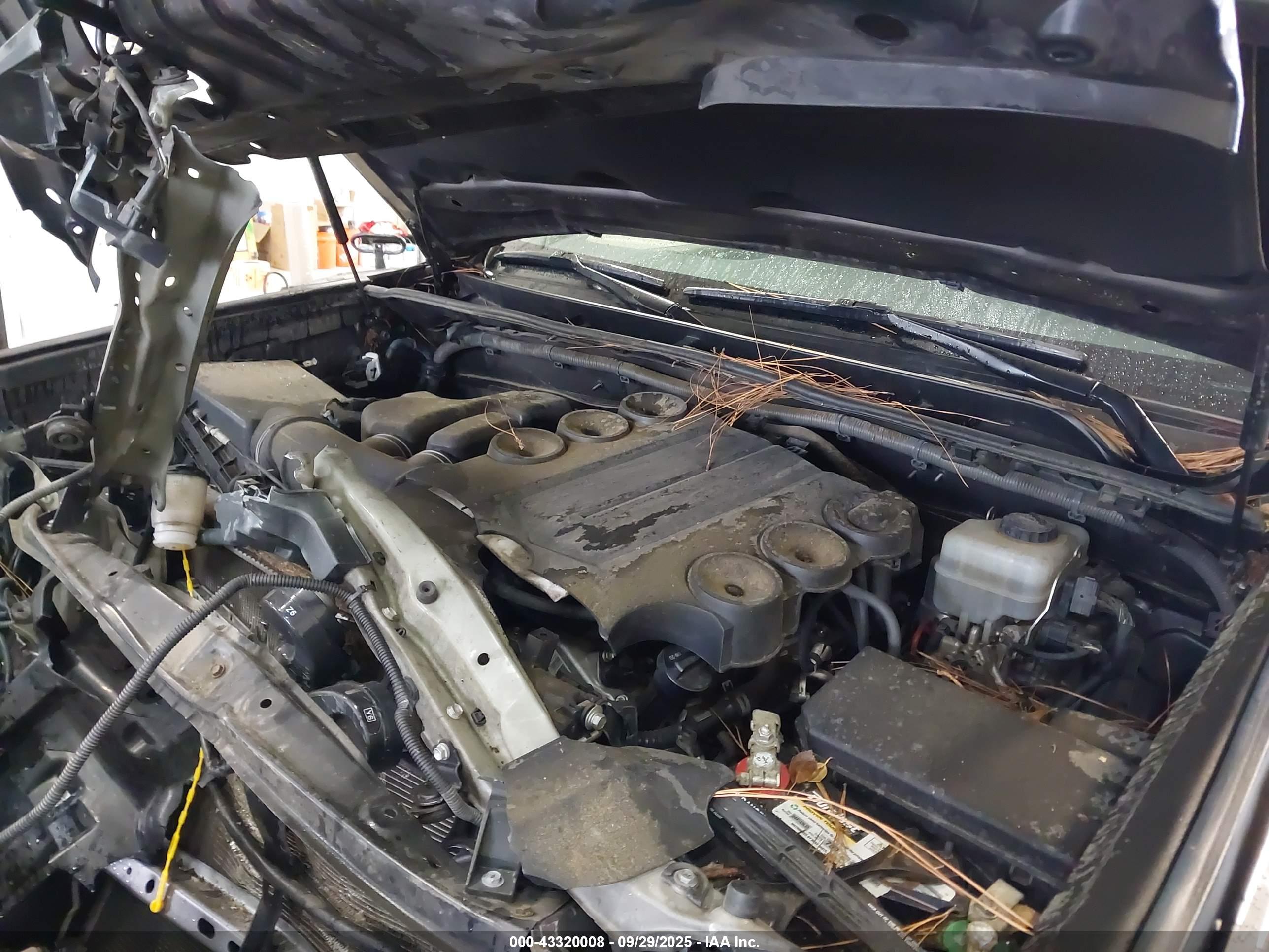 TOYOTA 4RUNNER image 10