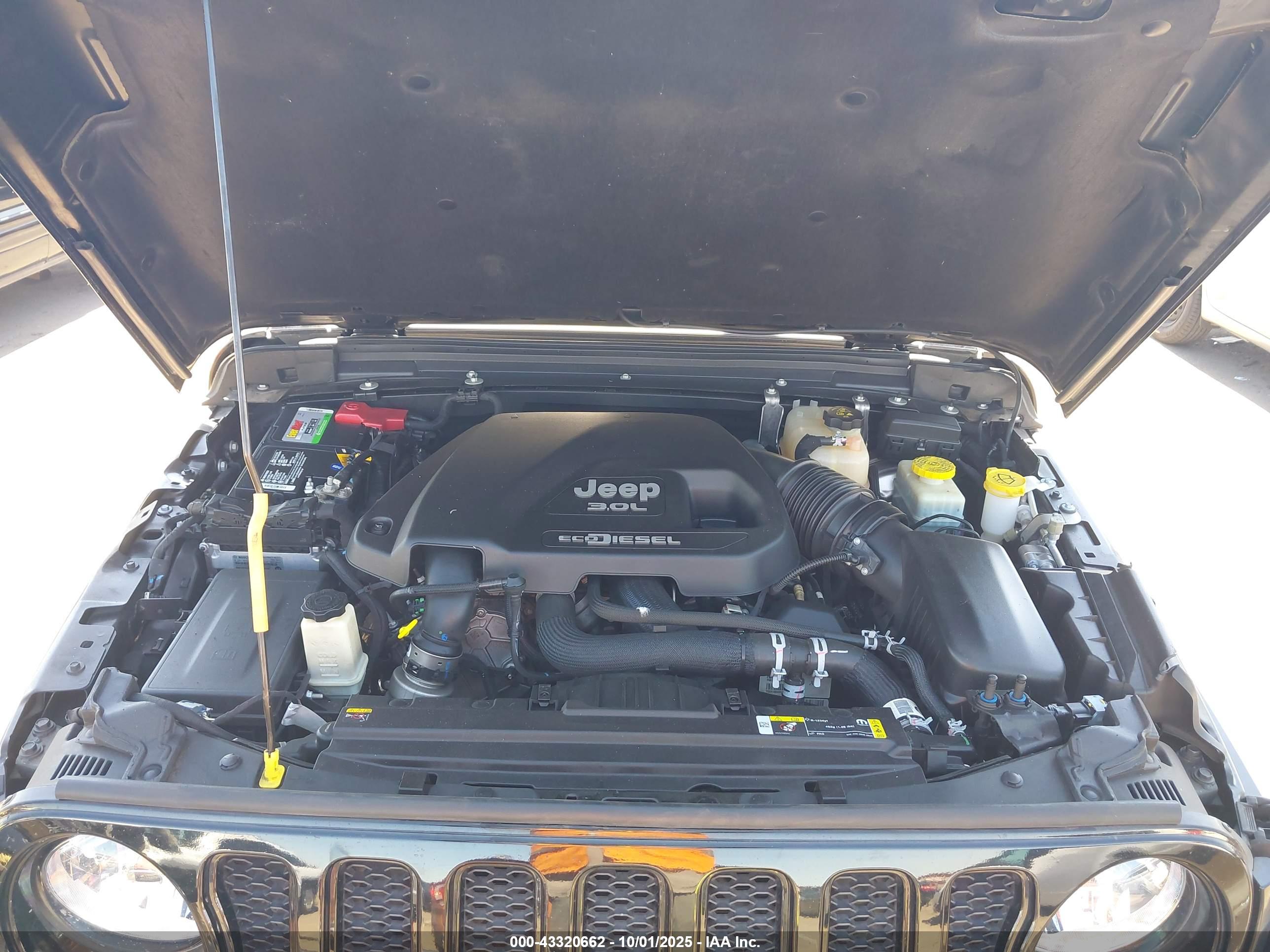 JEEP WRANGLER image 10