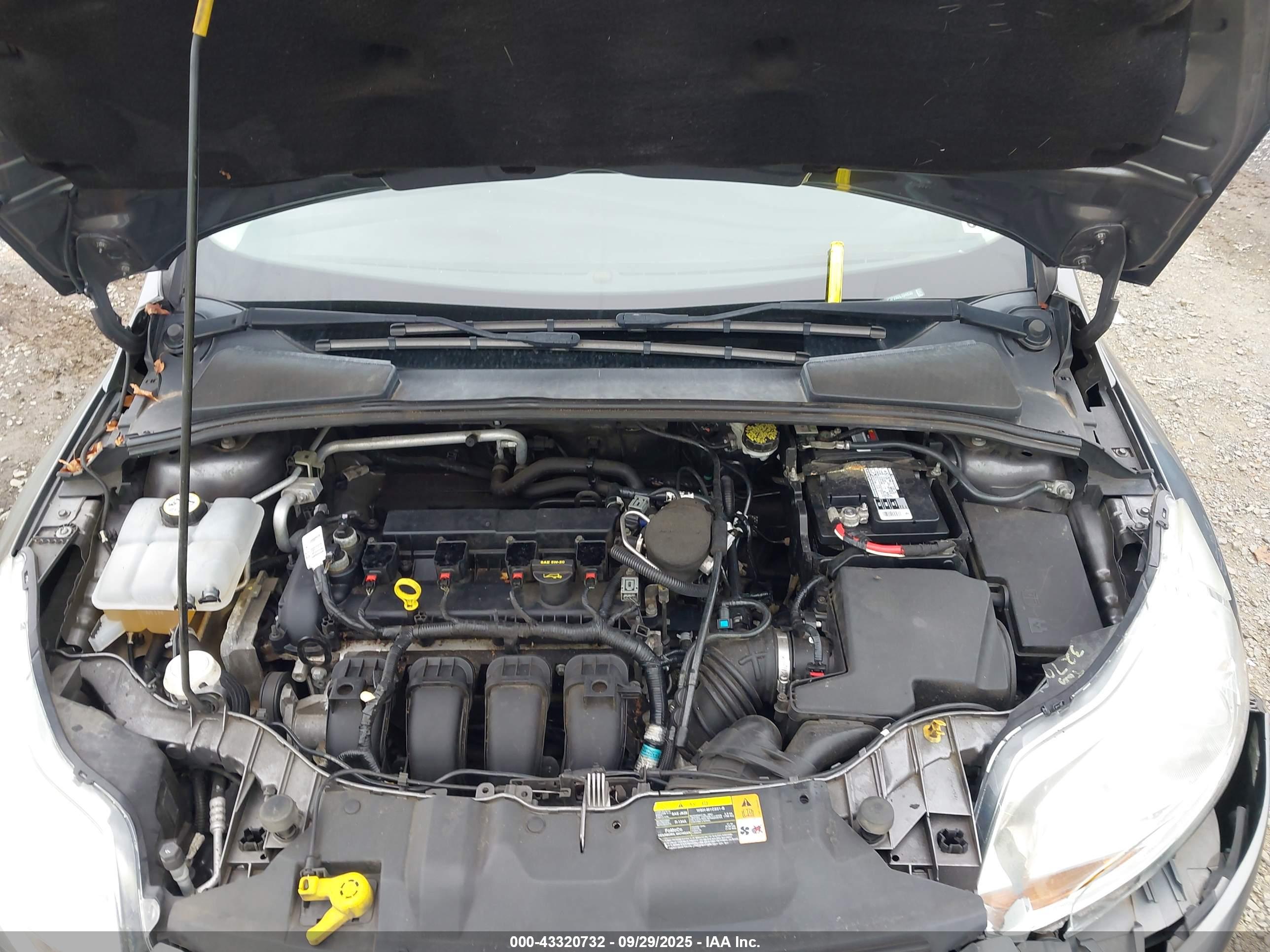 FORD FOCUS image 10