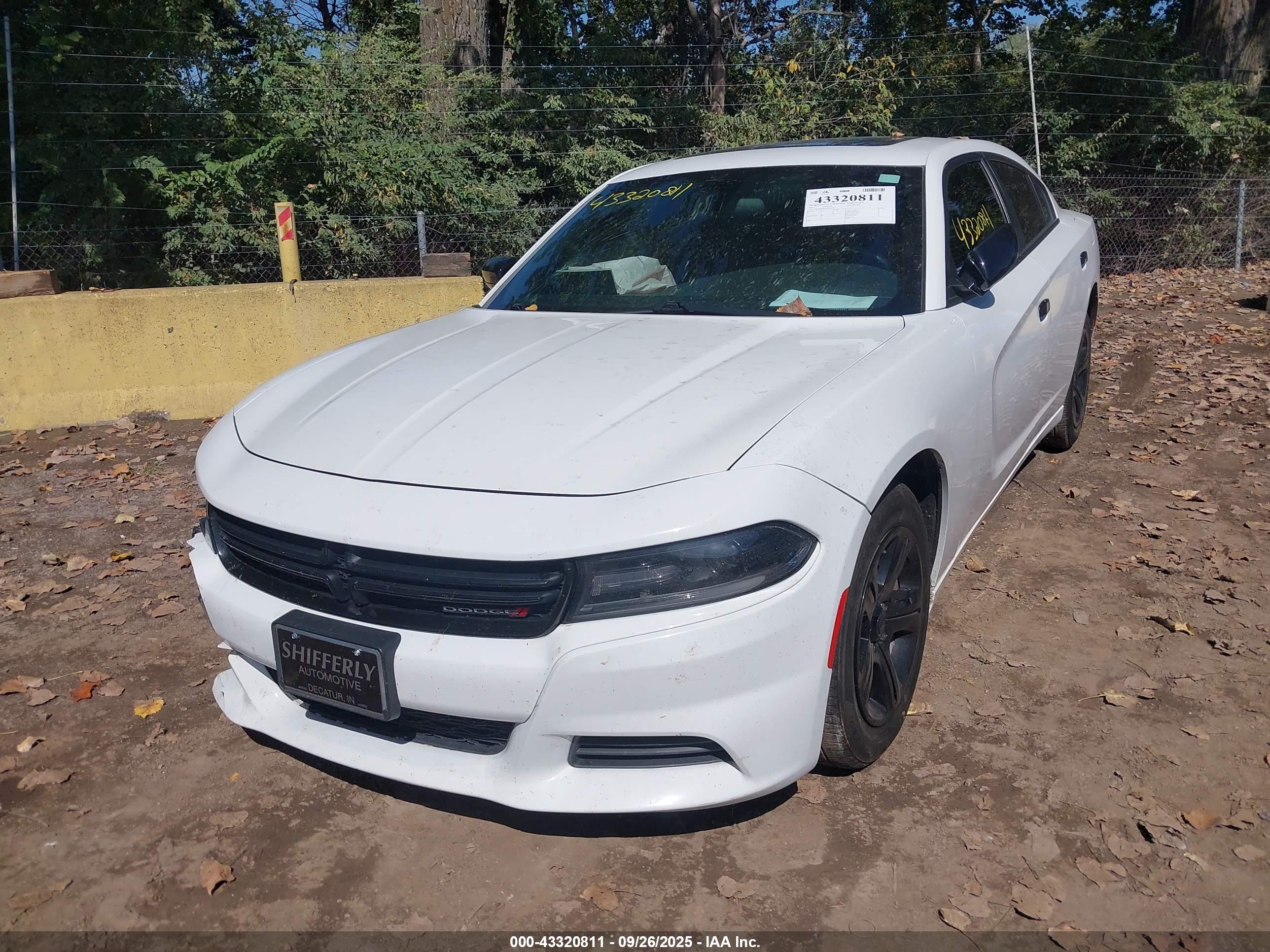 DODGE CHARGER image 2