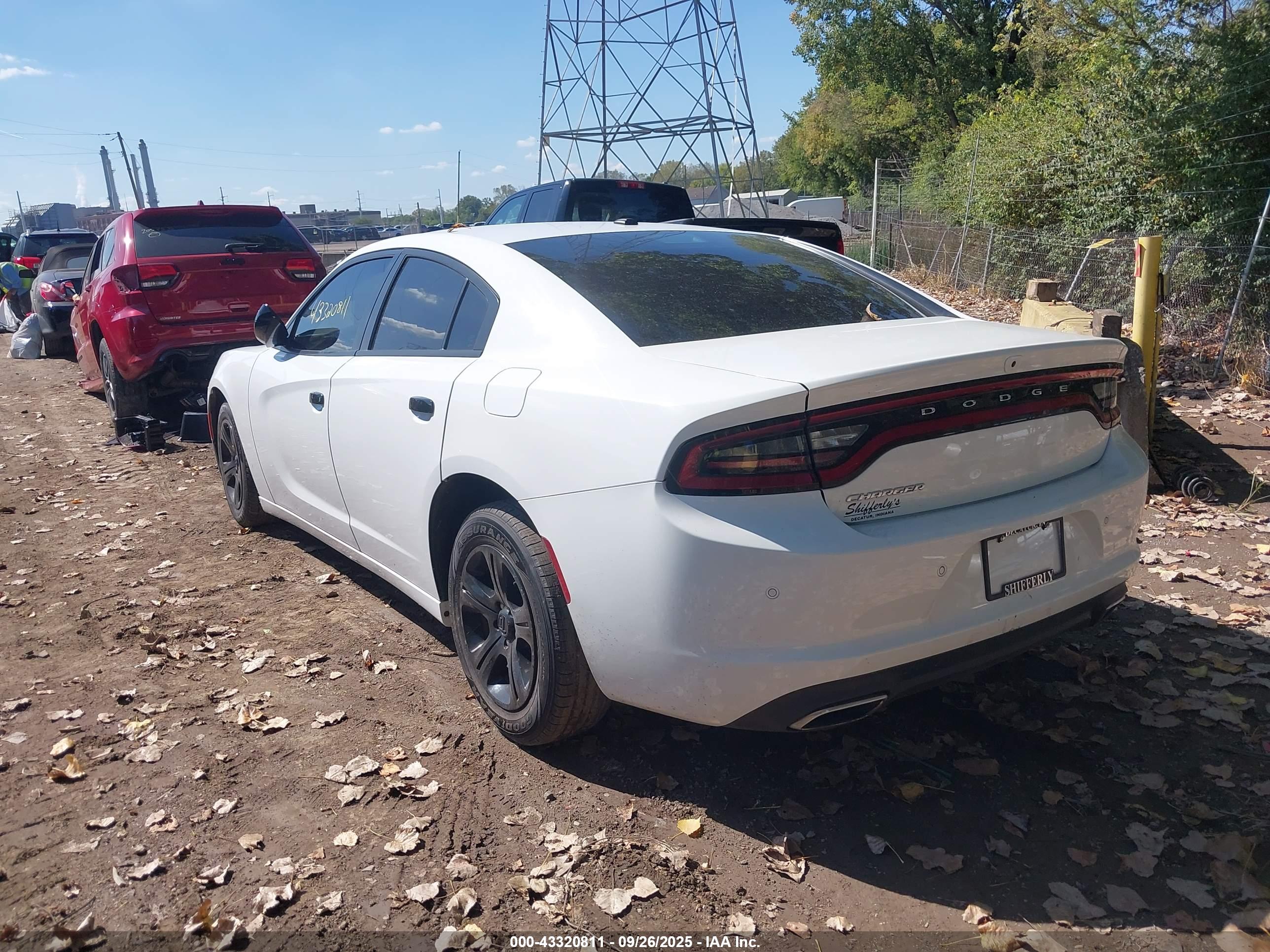 DODGE CHARGER image 3
