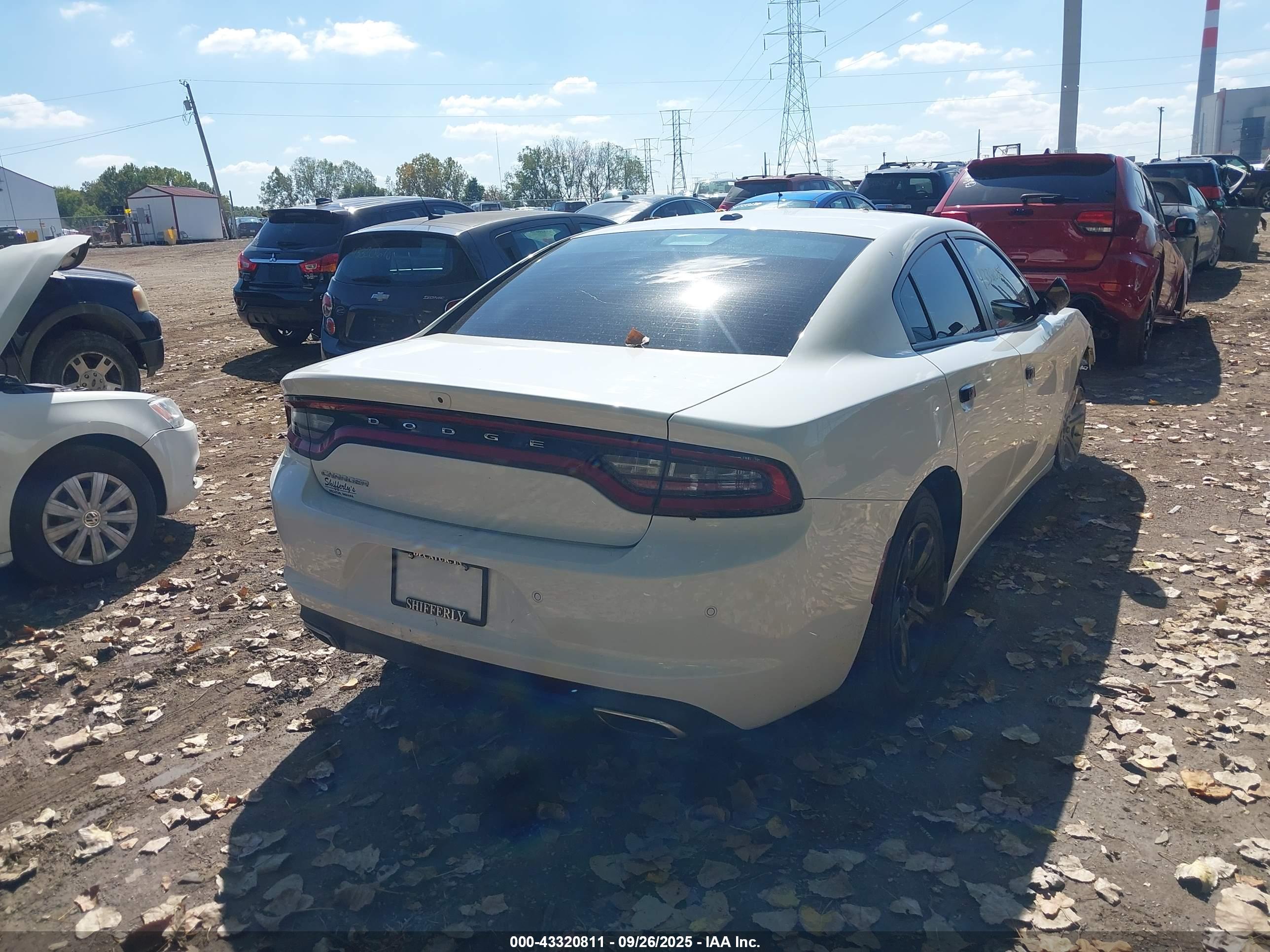 DODGE CHARGER image 4