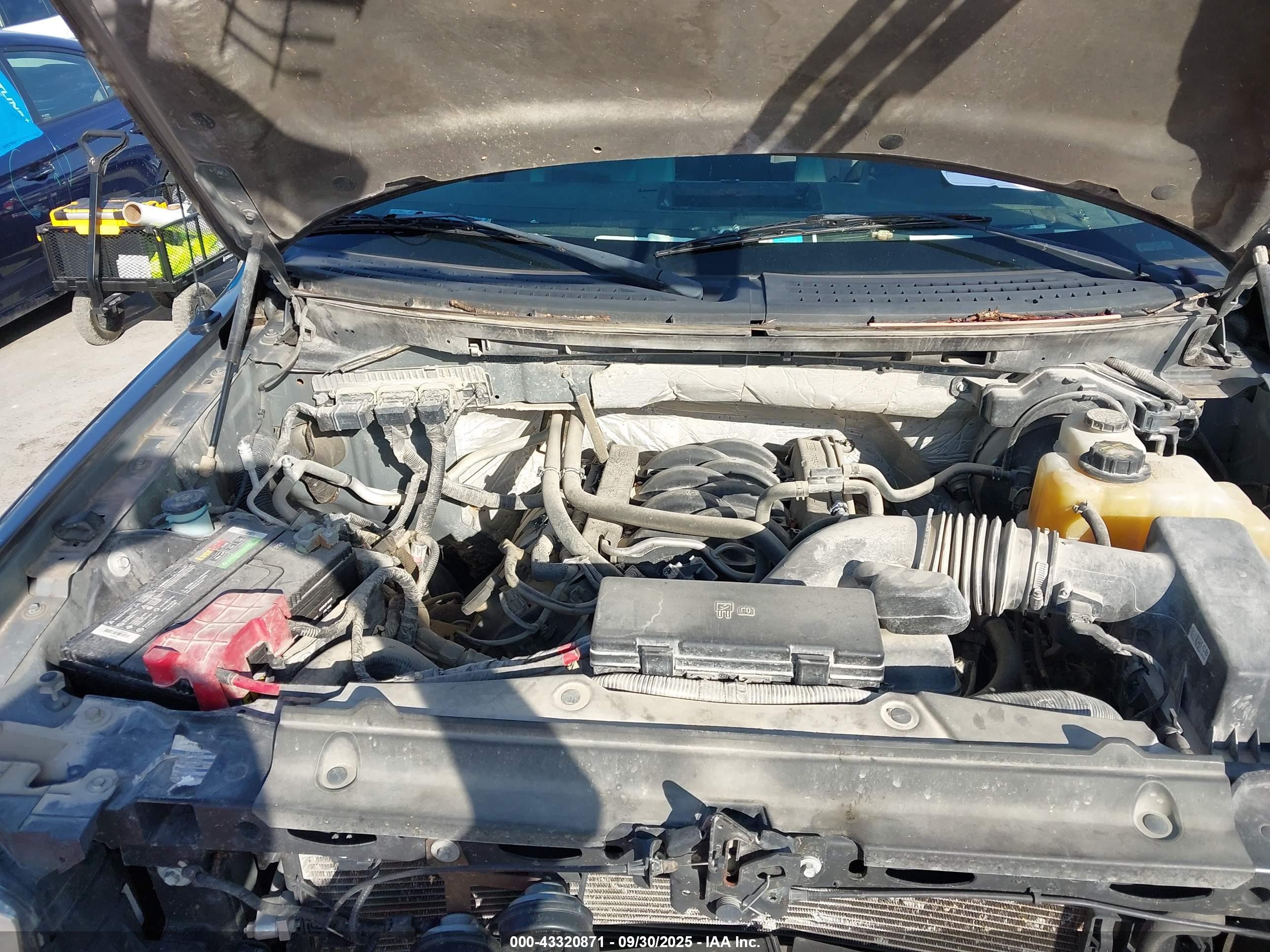 FORD F-150 image 10