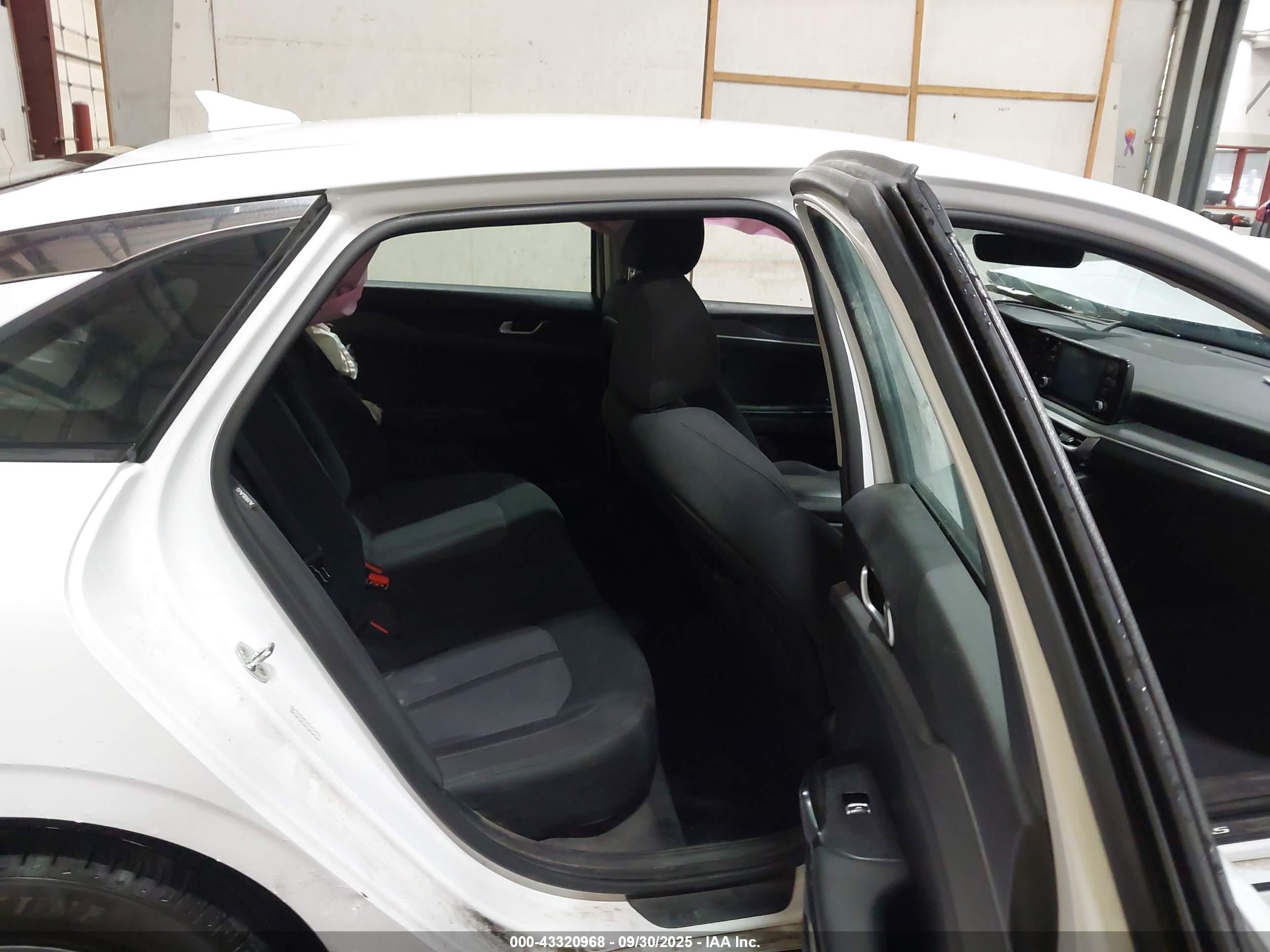 KIA K5 image 8
