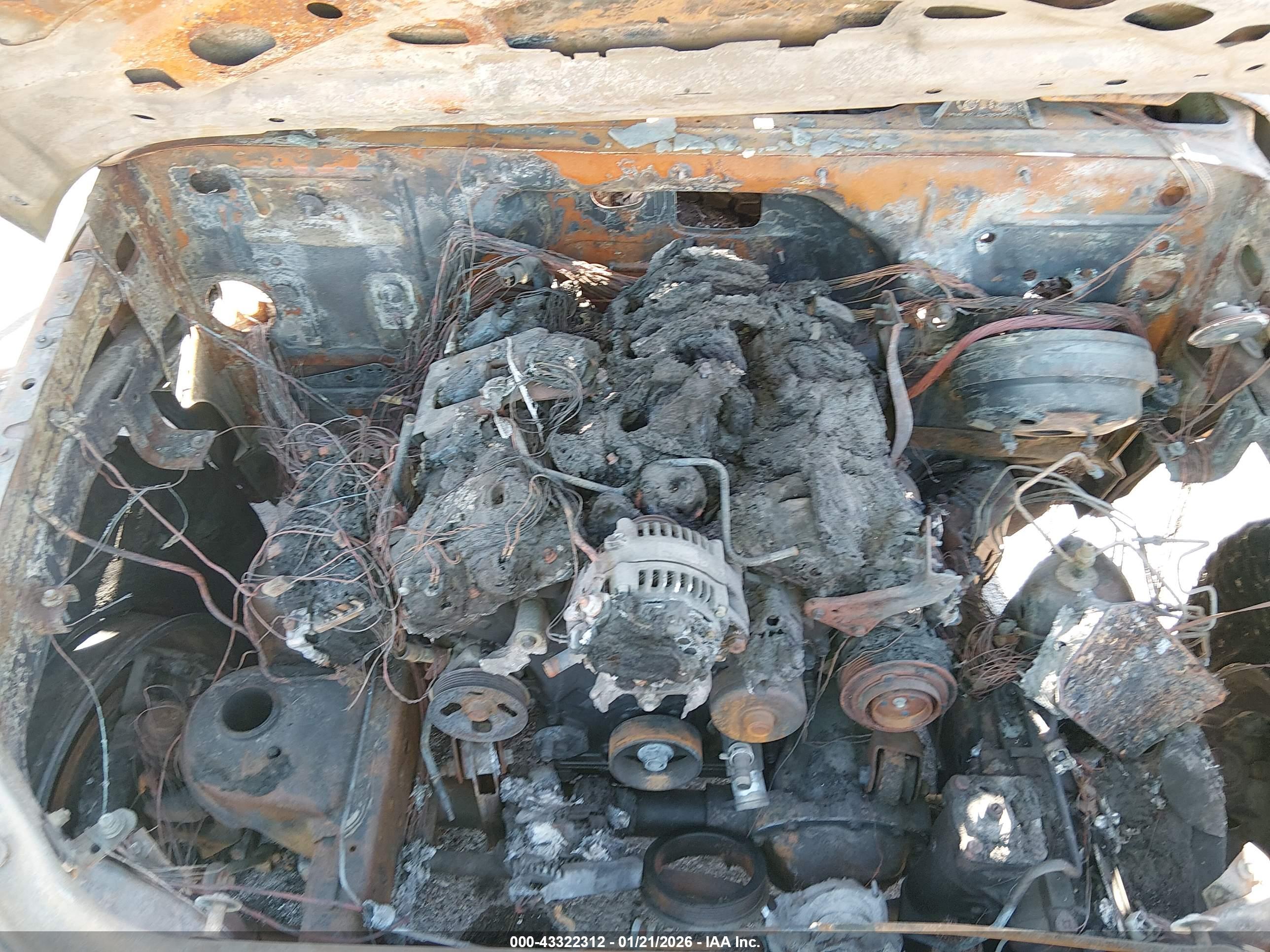JEEP WRANGLER image 10
