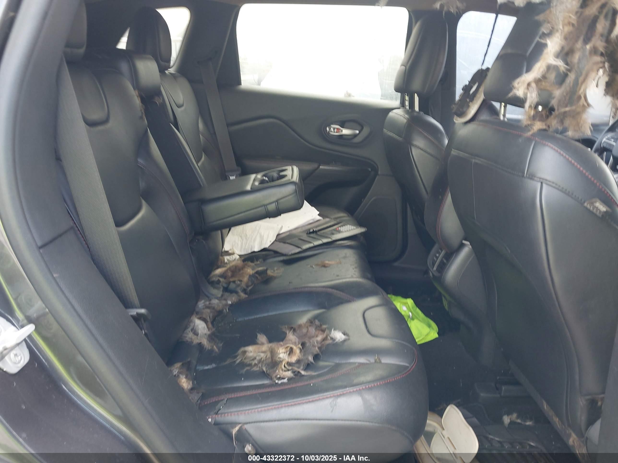 JEEP CHEROKEE image 8