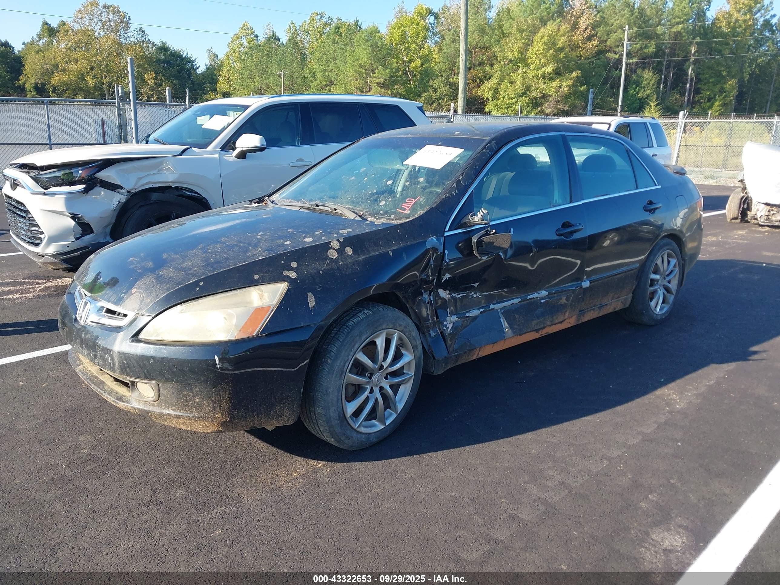 HONDA ACCORD image 2