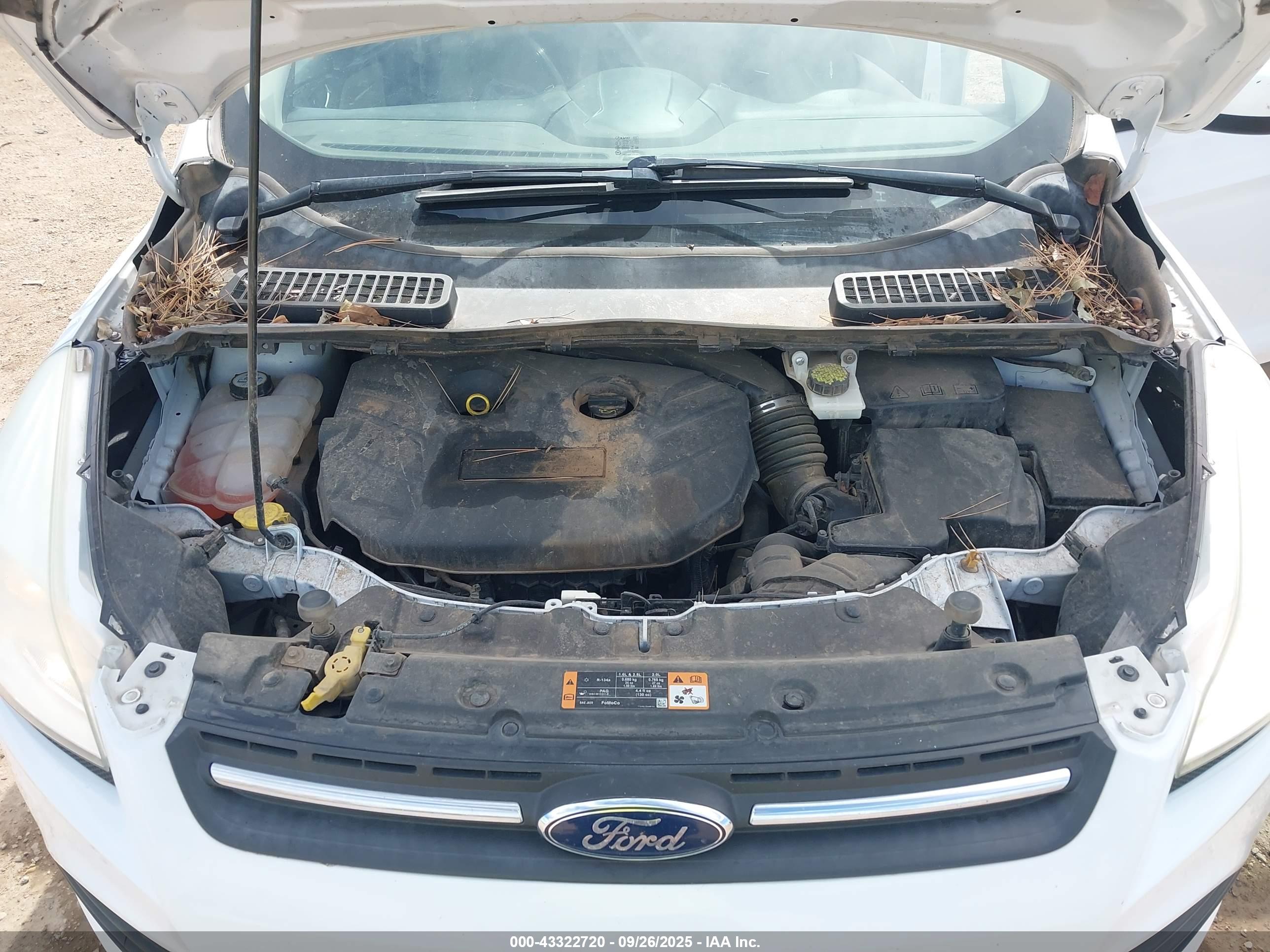 FORD ESCAPE image 10