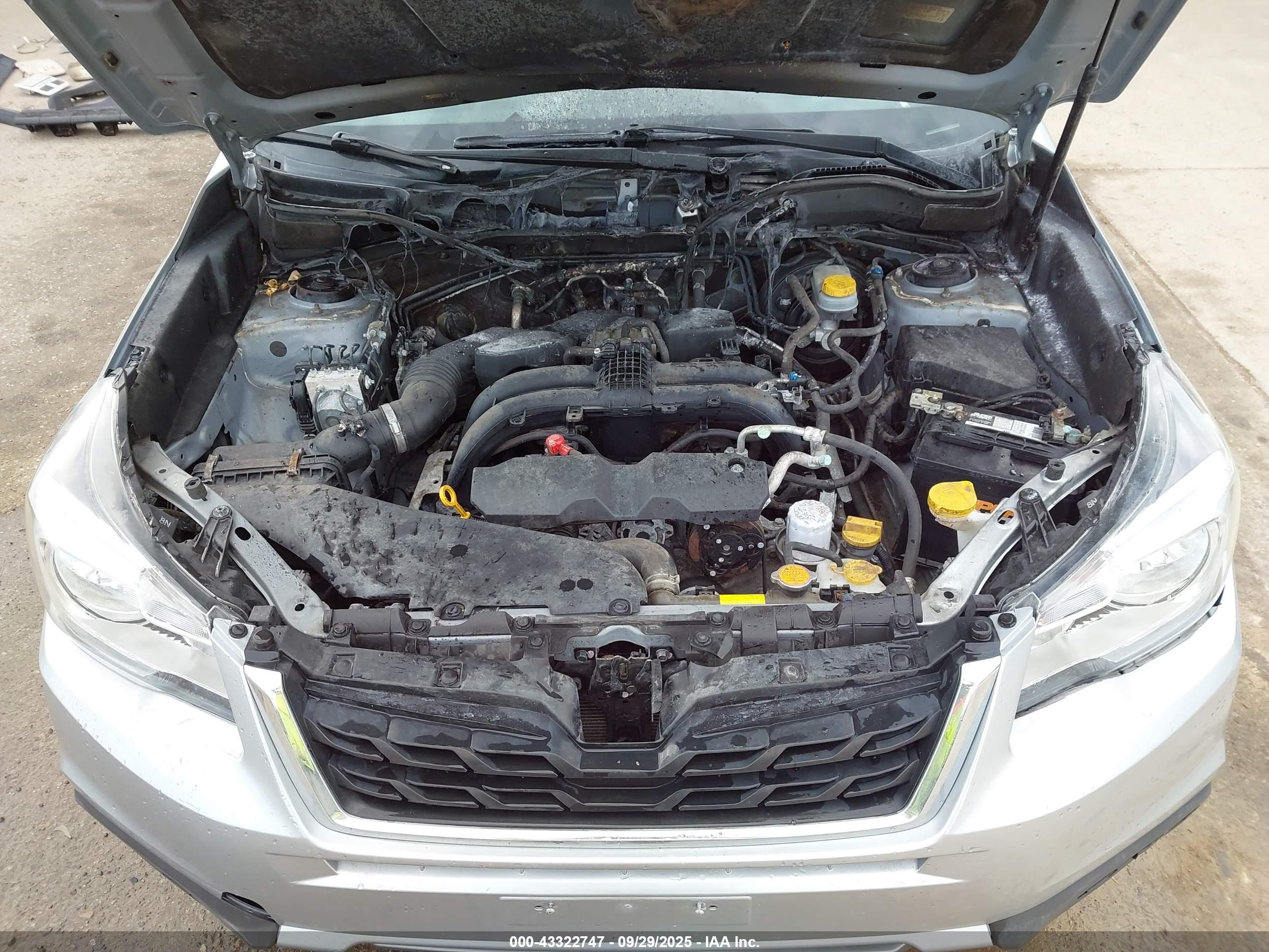 SUBARU FORESTER image 10