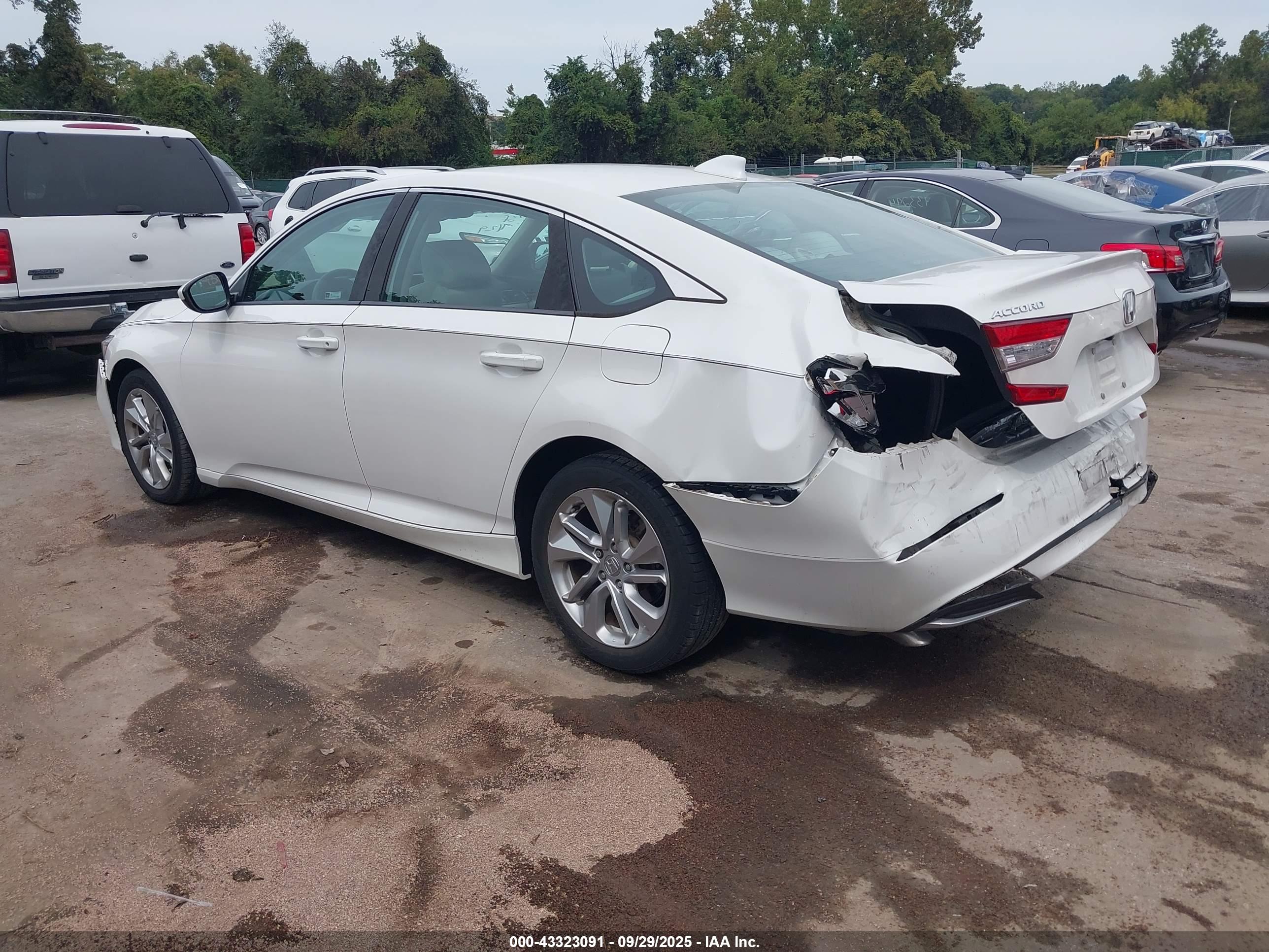 HONDA ACCORD image 3