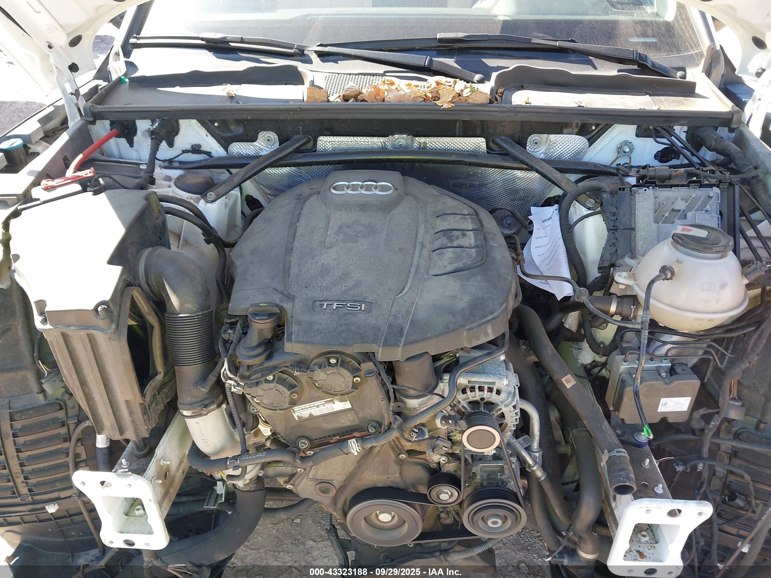 AUDI Q5 image 10