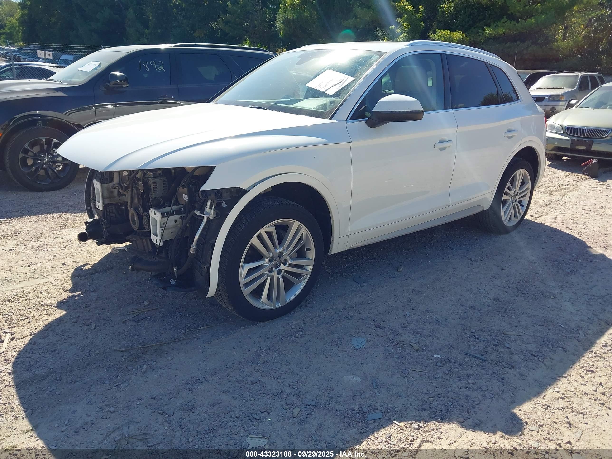 AUDI Q5 image 2