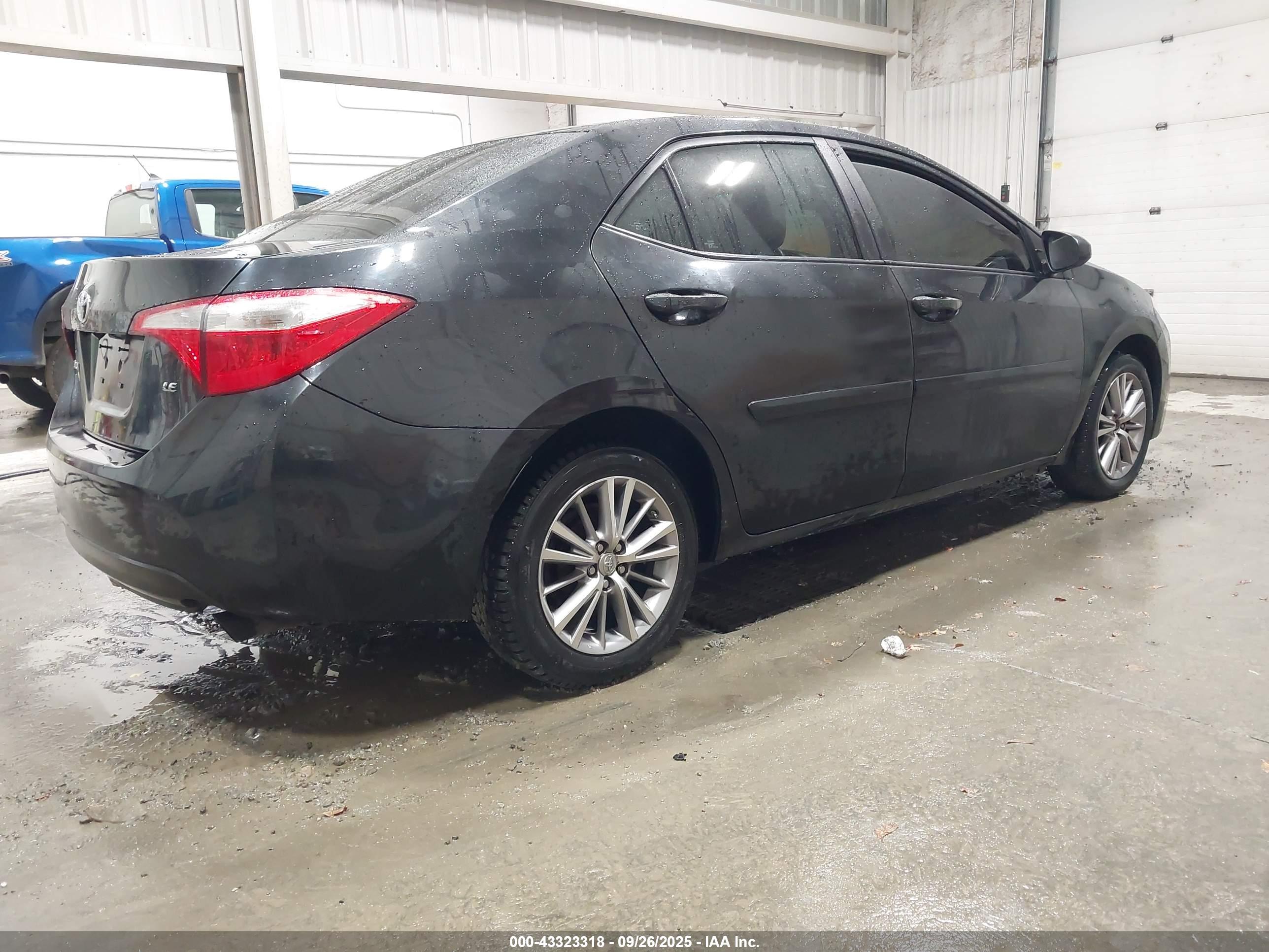 TOYOTA COROLLA image 4