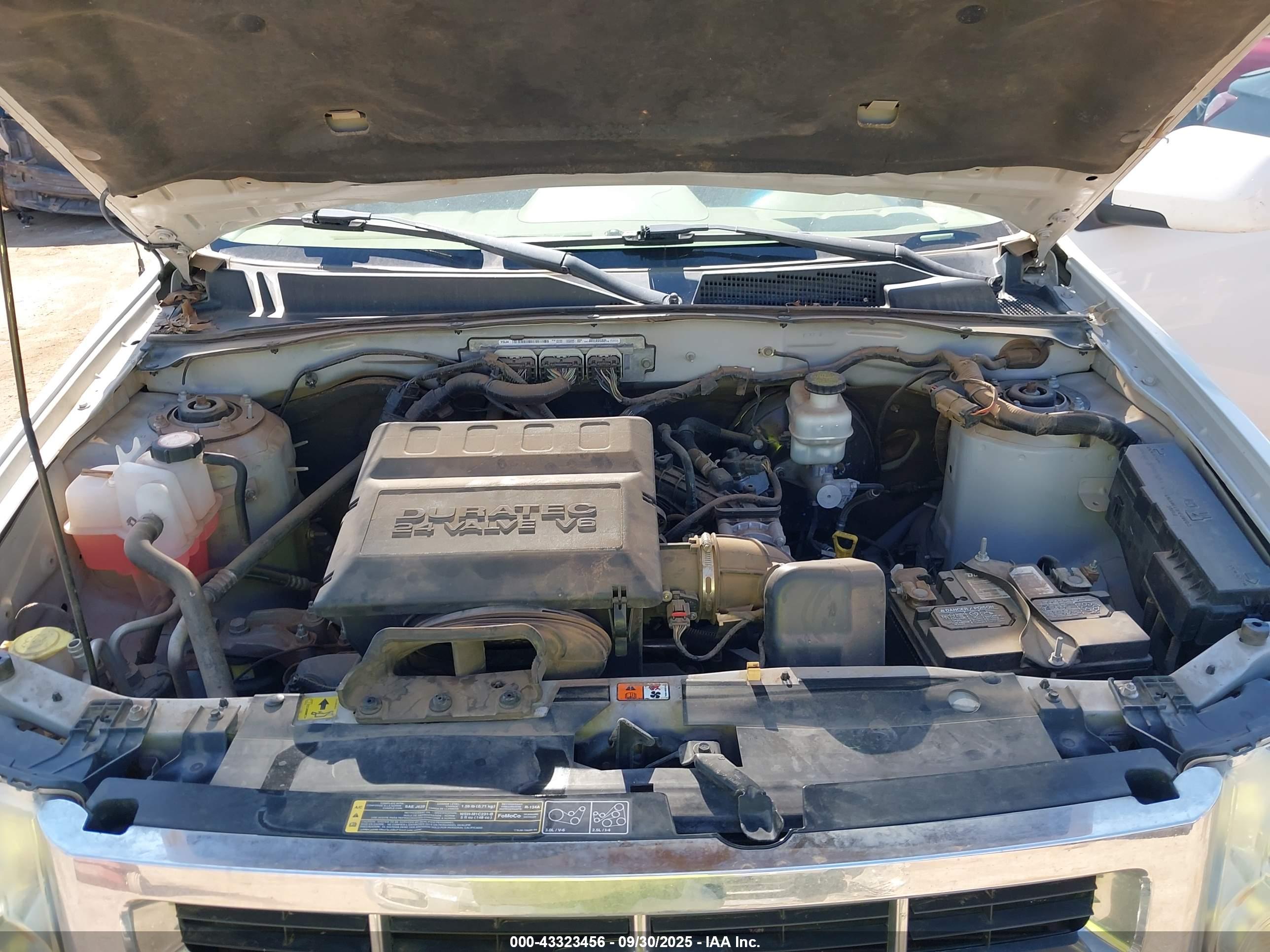 FORD ESCAPE image 10