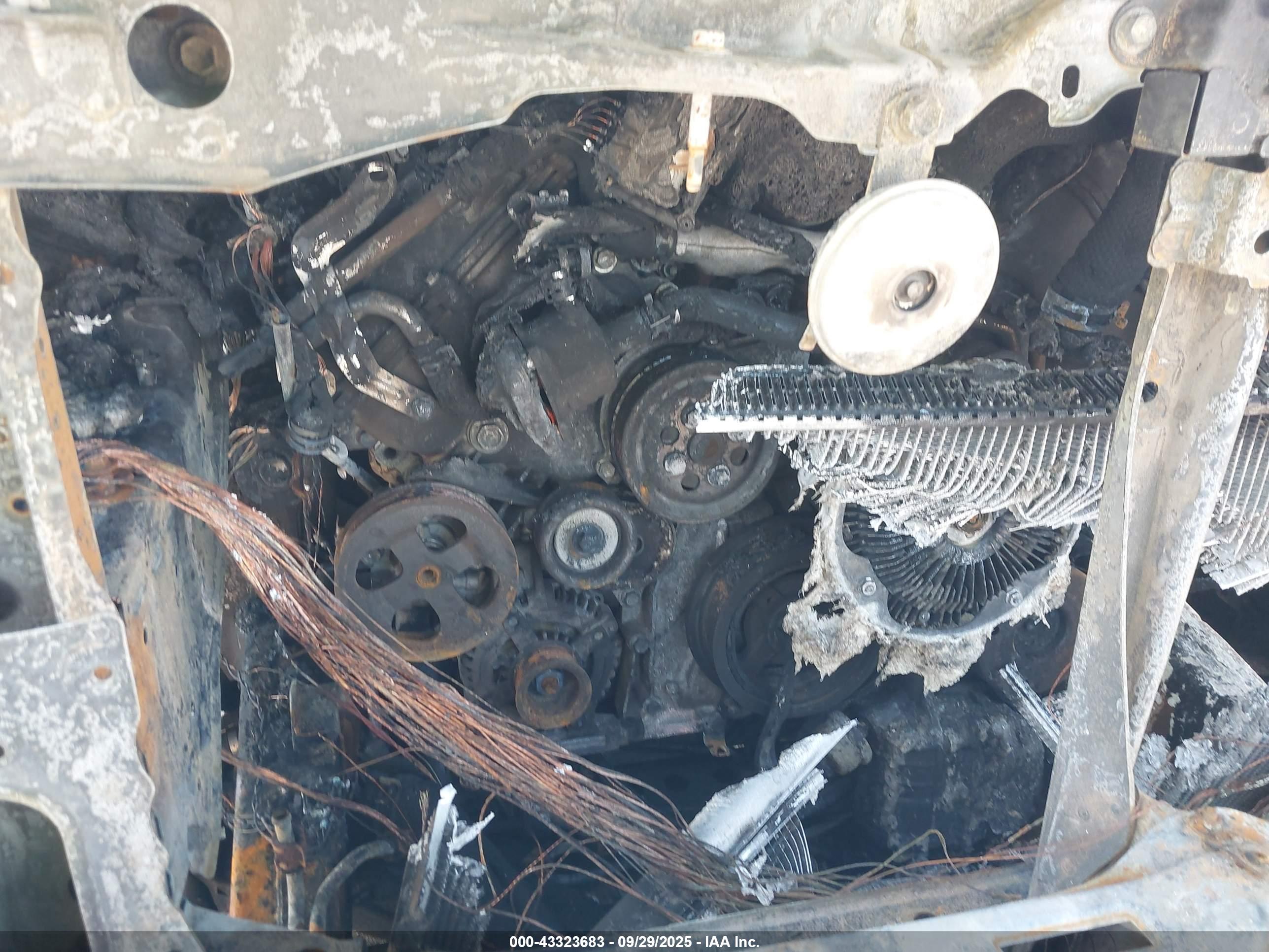 TOYOTA TUNDRA image 10
