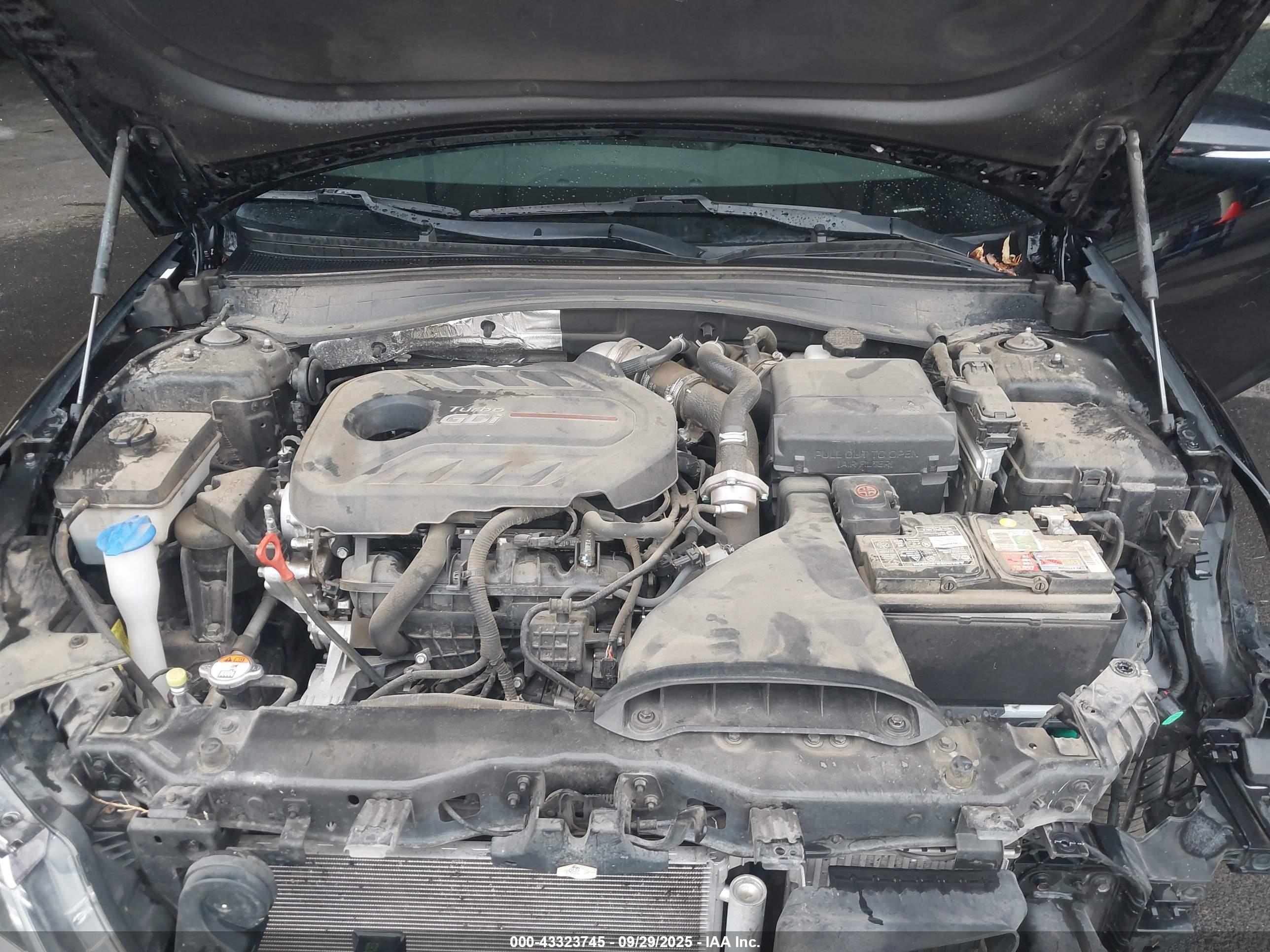 KIA OPTIMA image 10