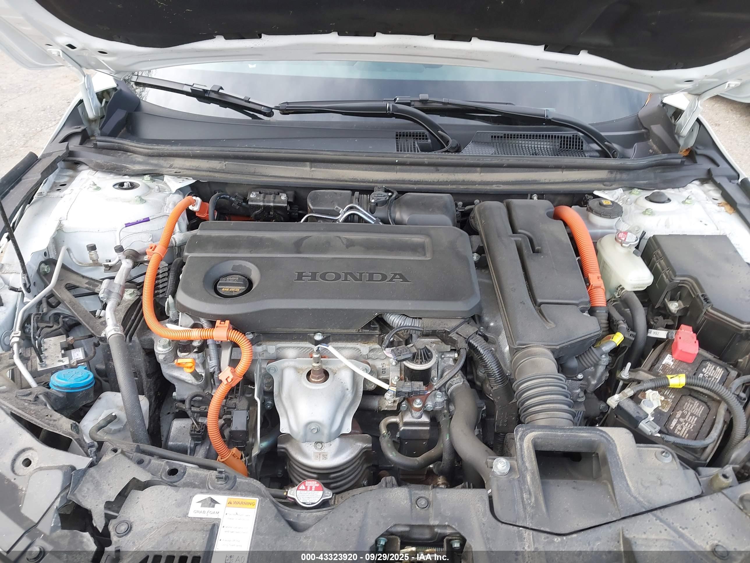 HONDA ACCORD image 10
