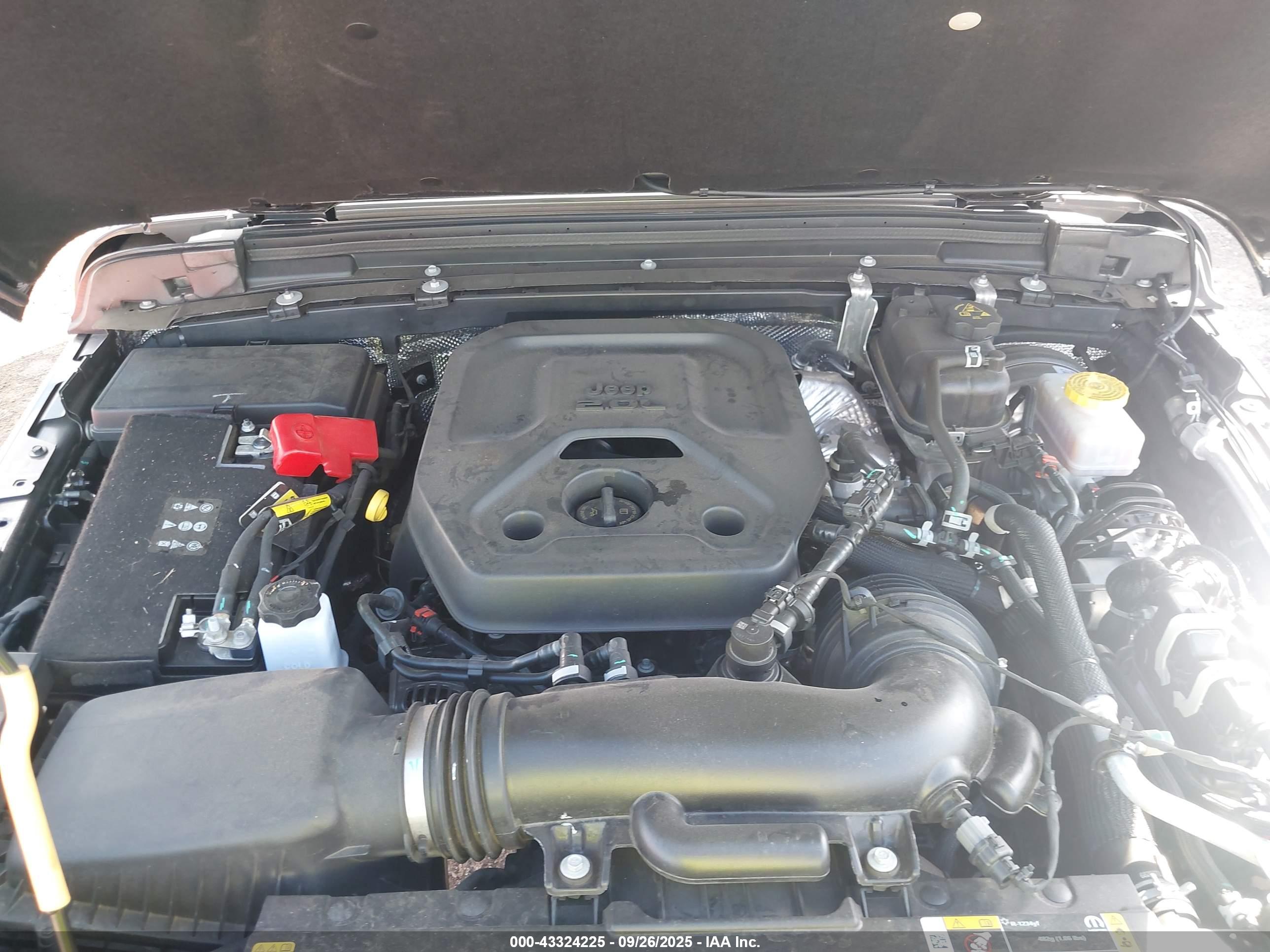 JEEP WRANGLER image 10