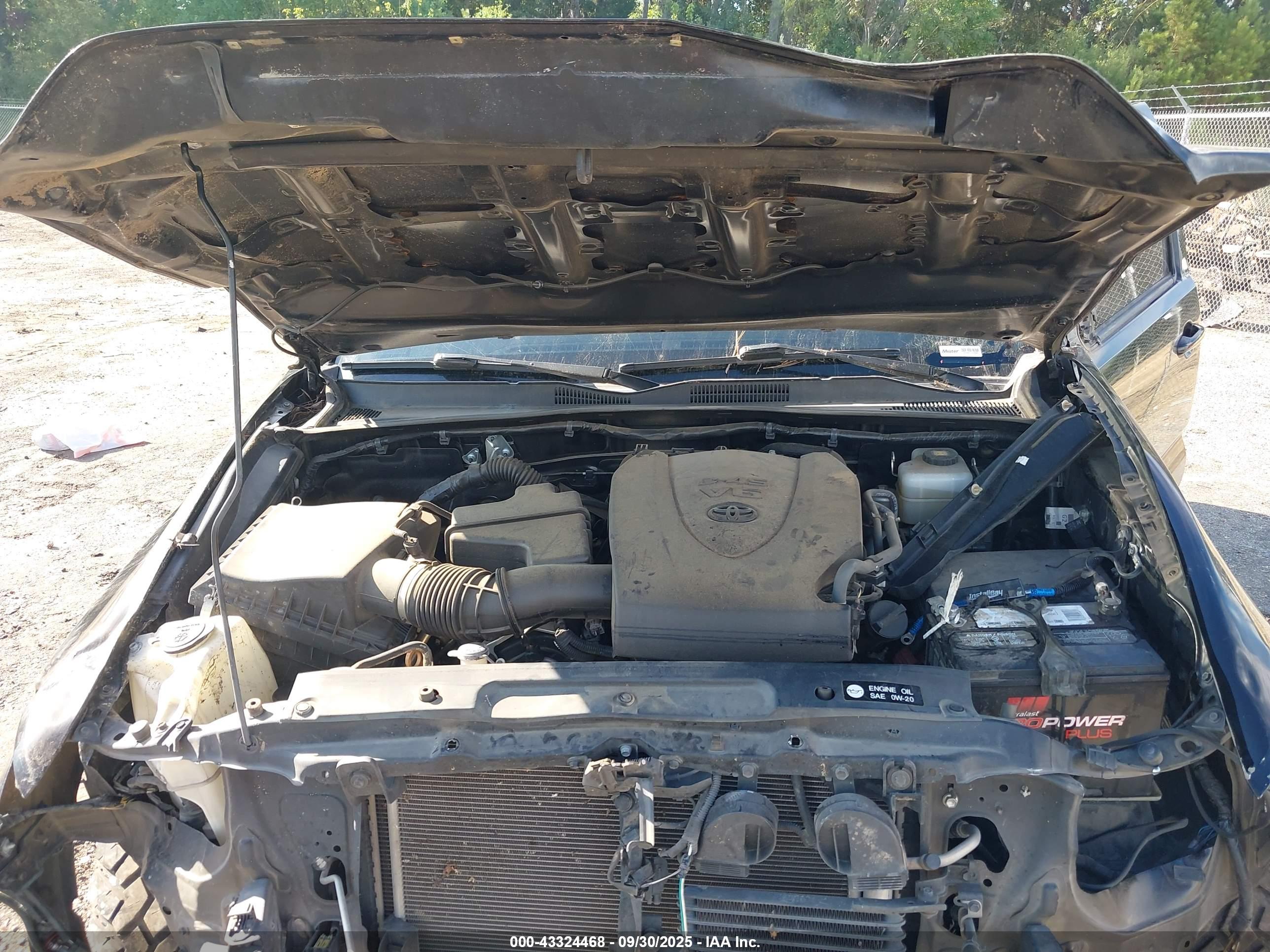 TOYOTA TACOMA image 10