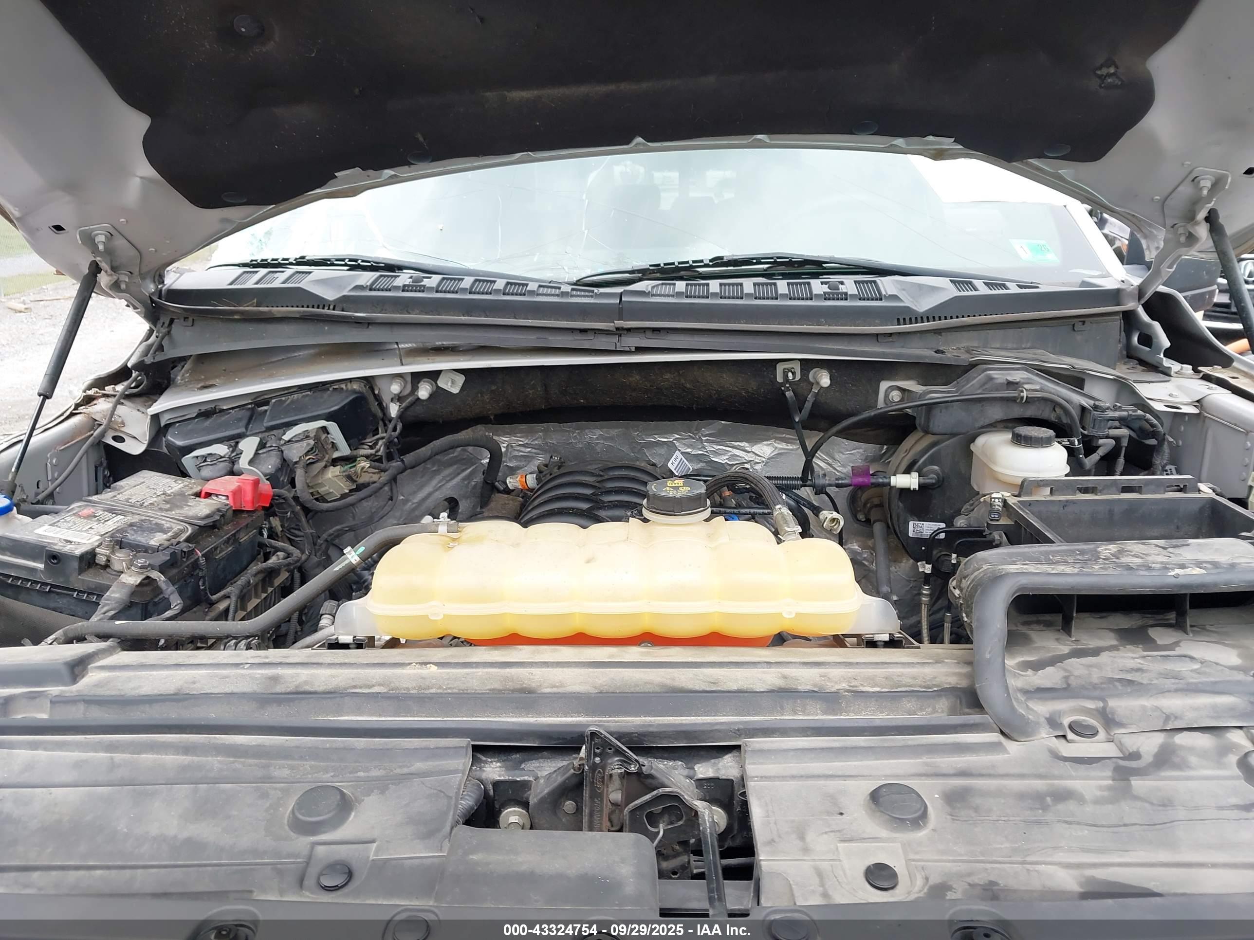 FORD F-150 image 10