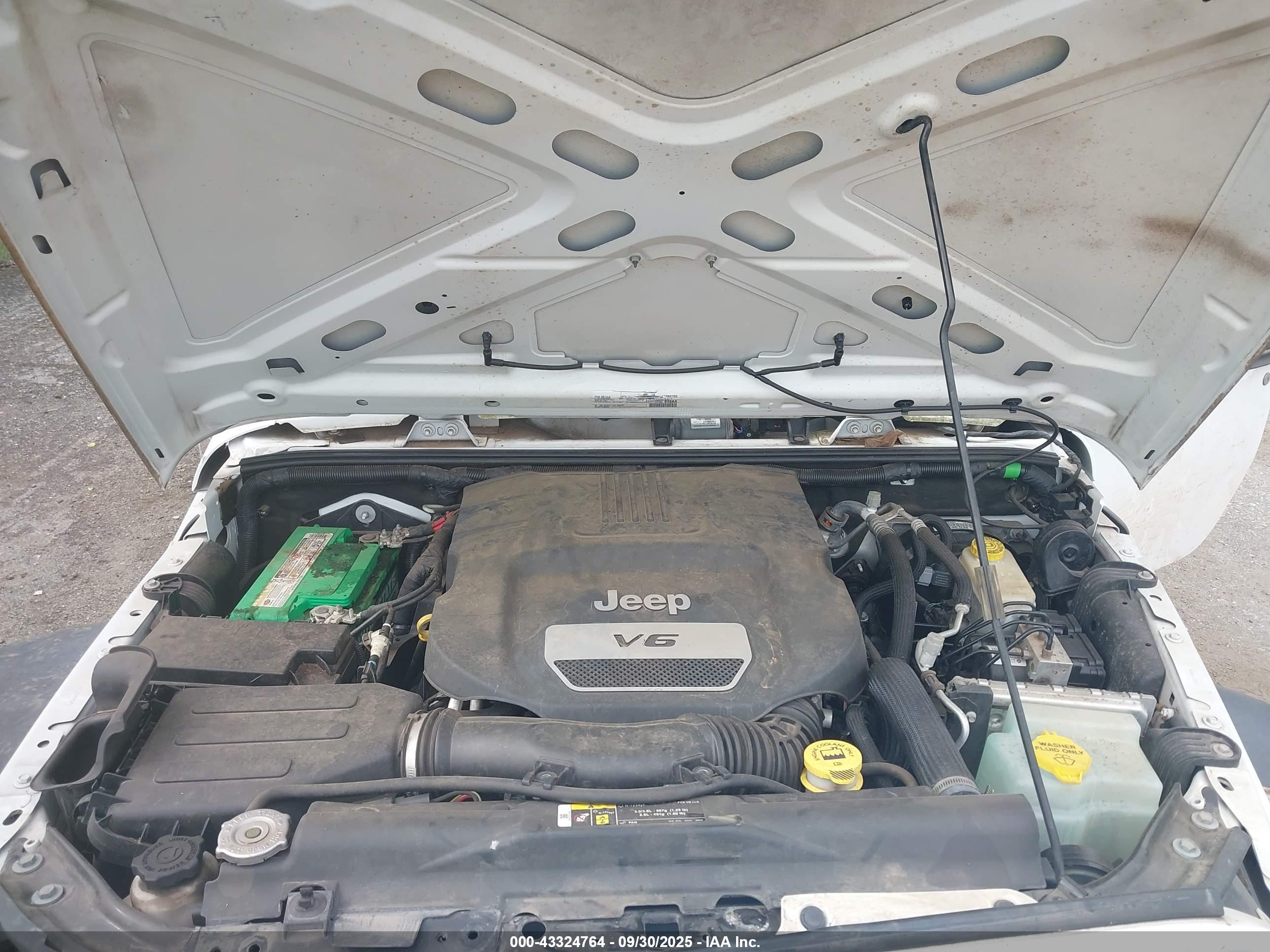 JEEP WRANGLER image 10