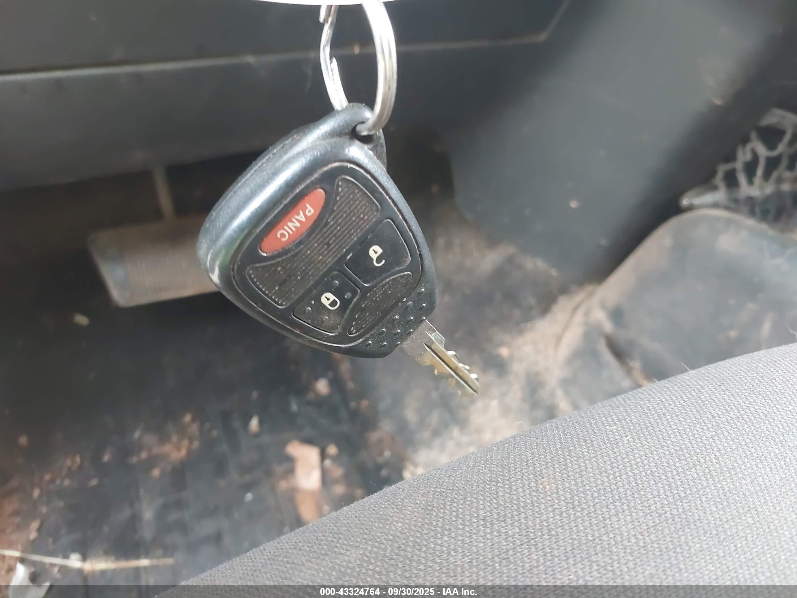 JEEP WRANGLER image 11