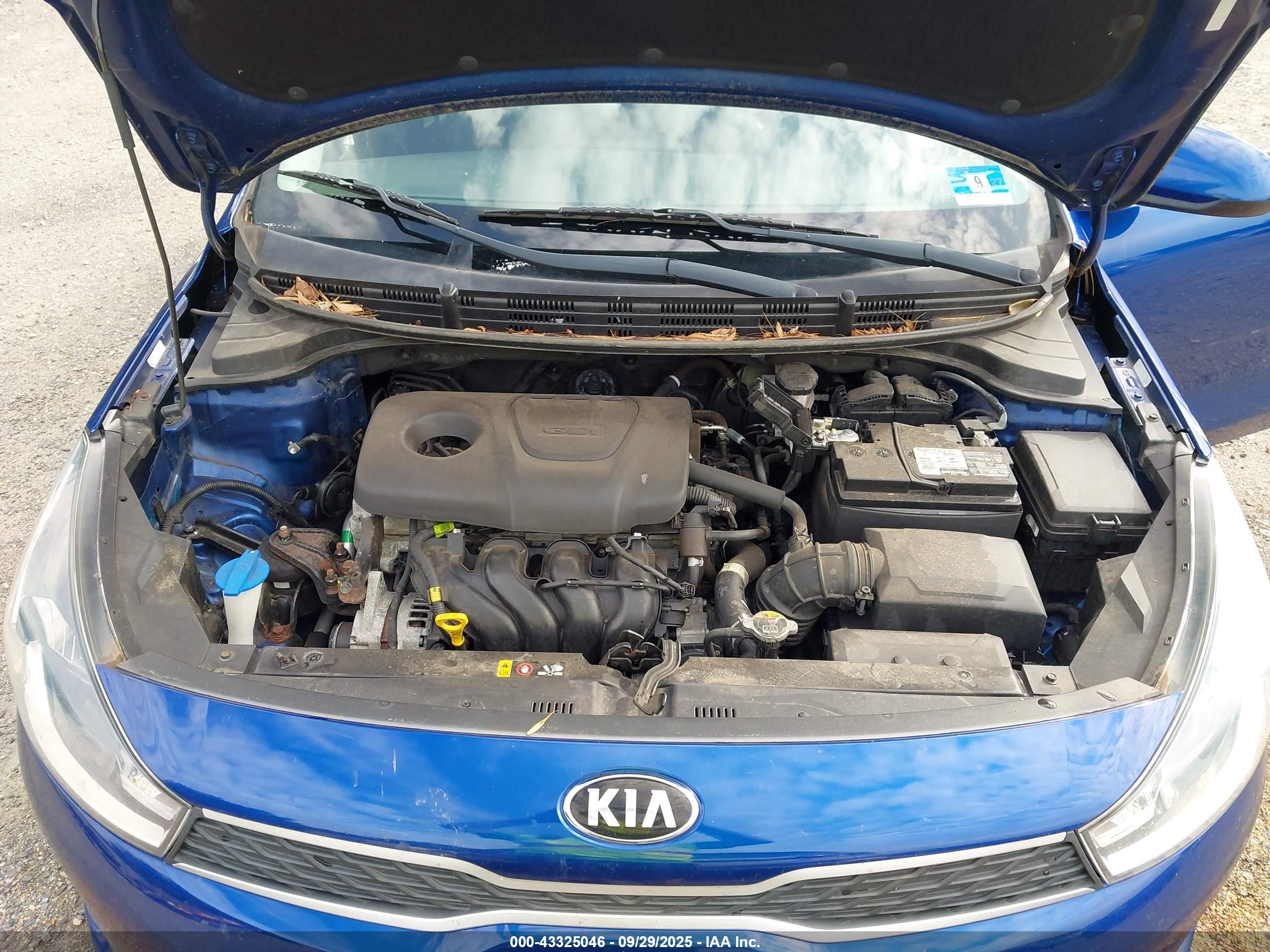 KIA RIO image 10