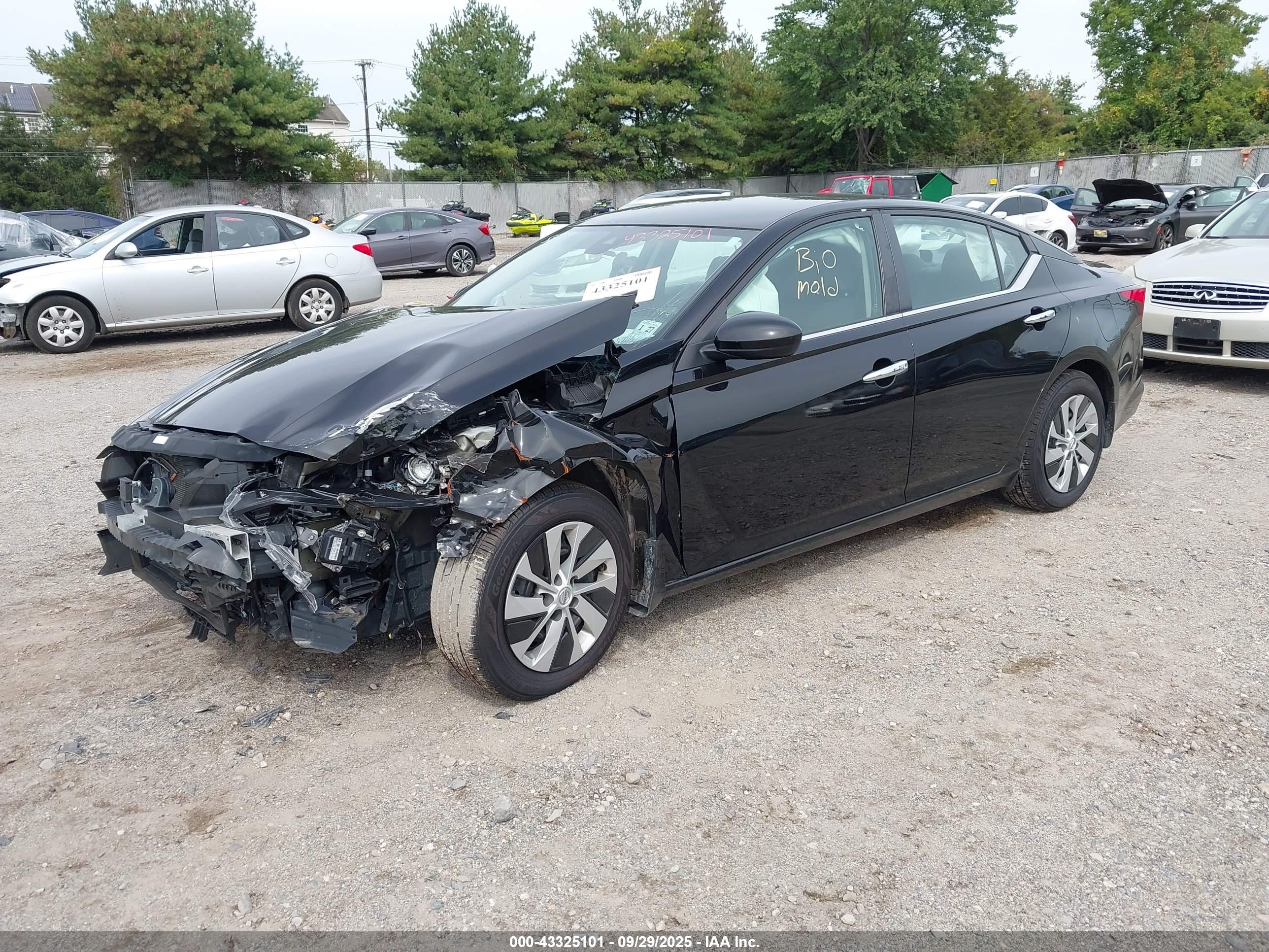 NISSAN ALTIMA image 2