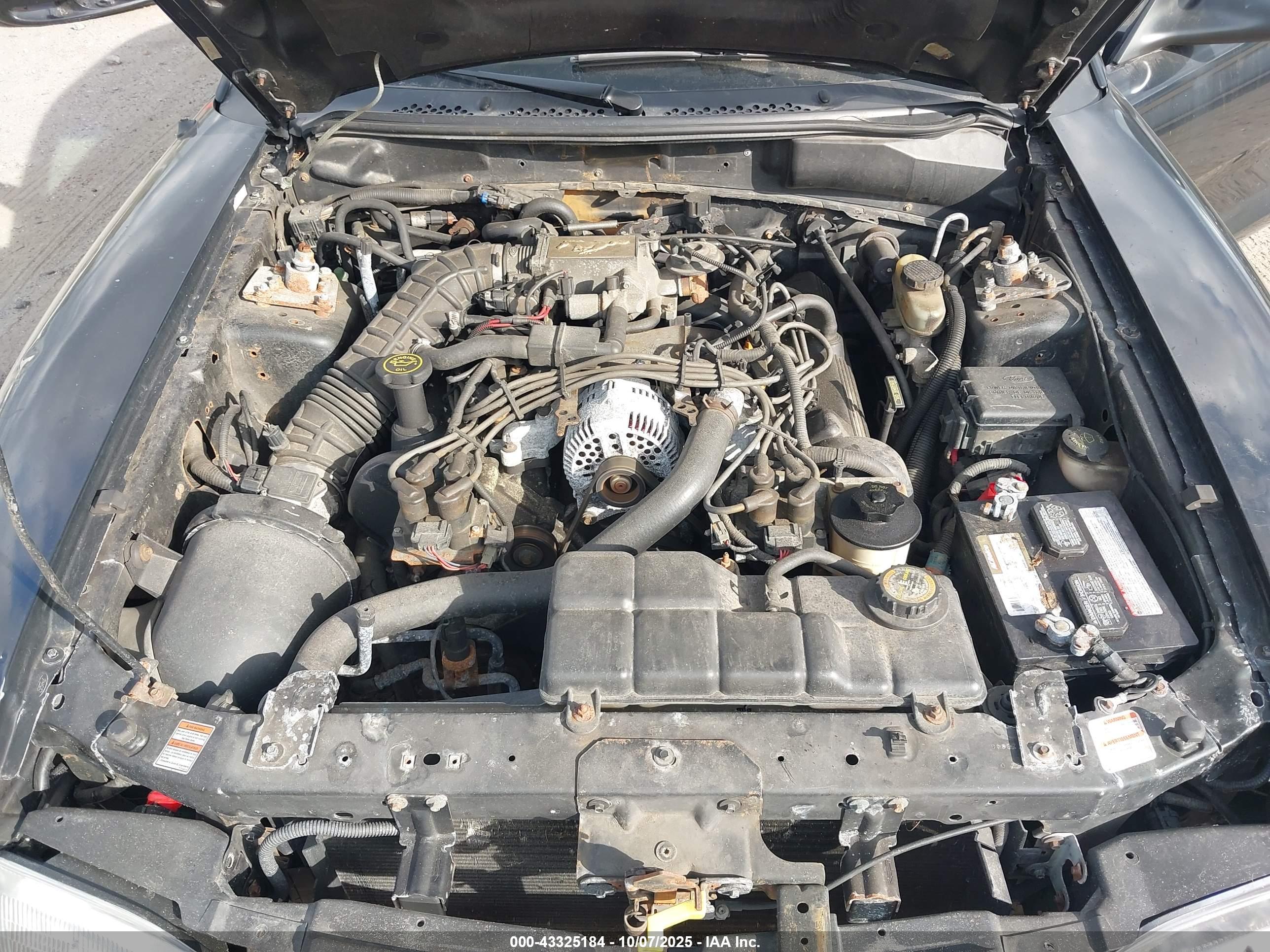 FORD MUSTANG image 10