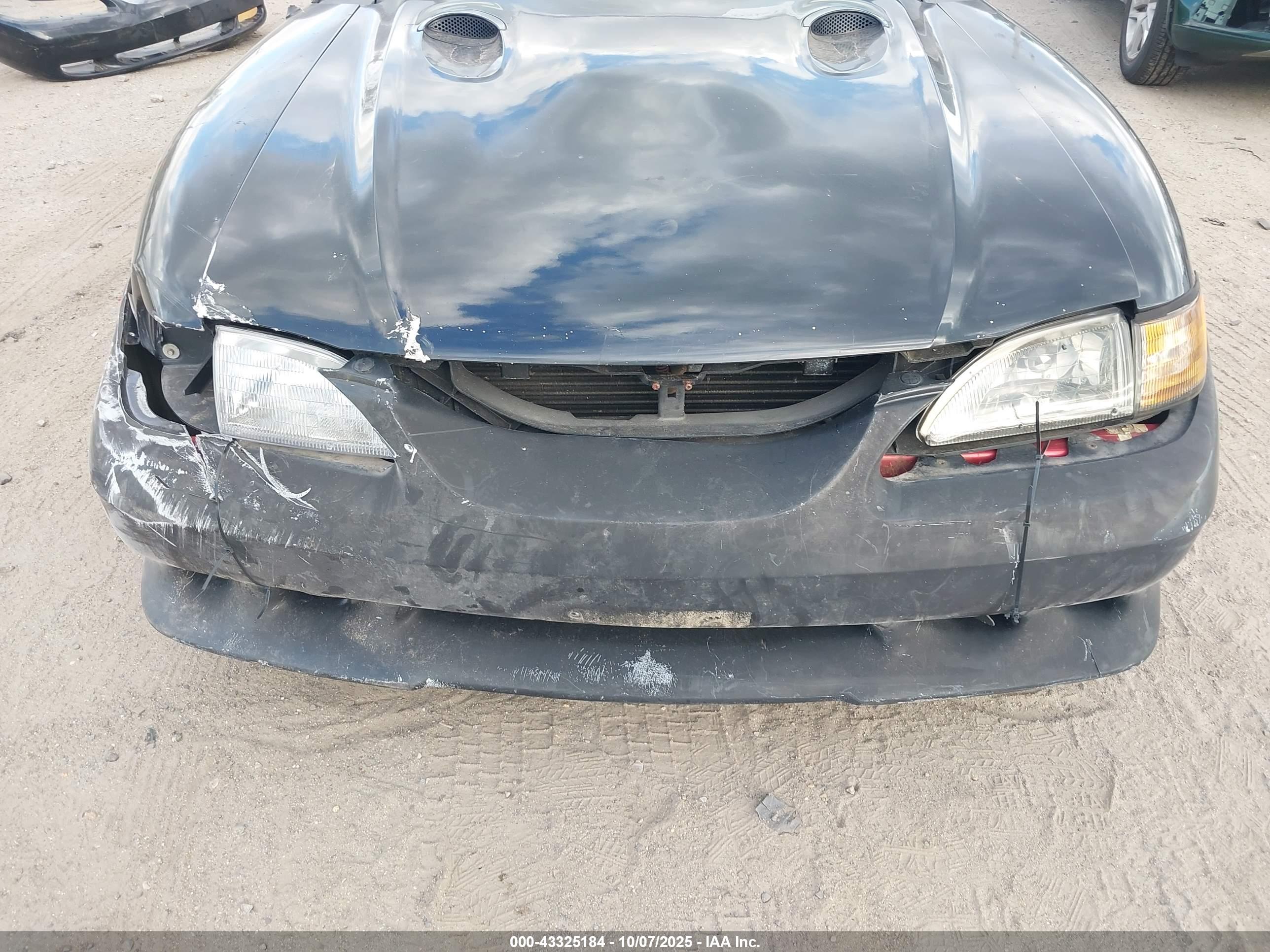FORD MUSTANG image 6