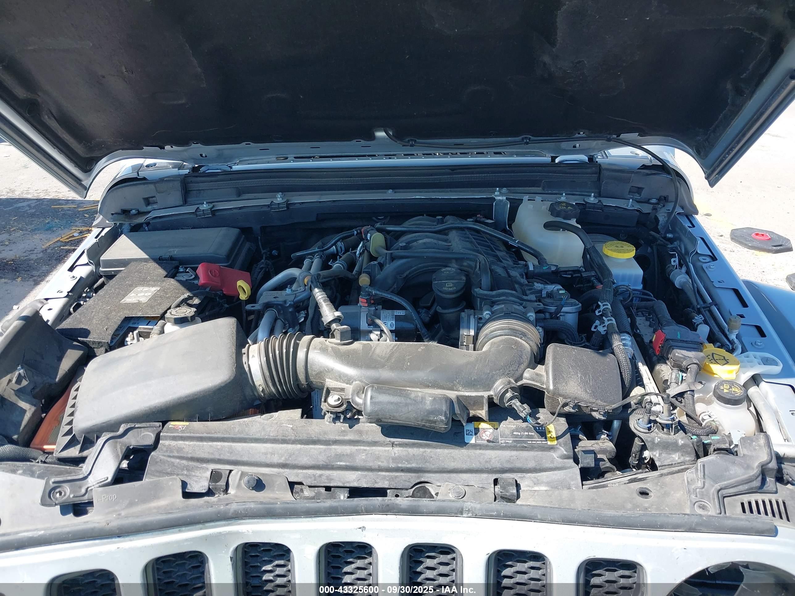 JEEP WRANGLER image 10