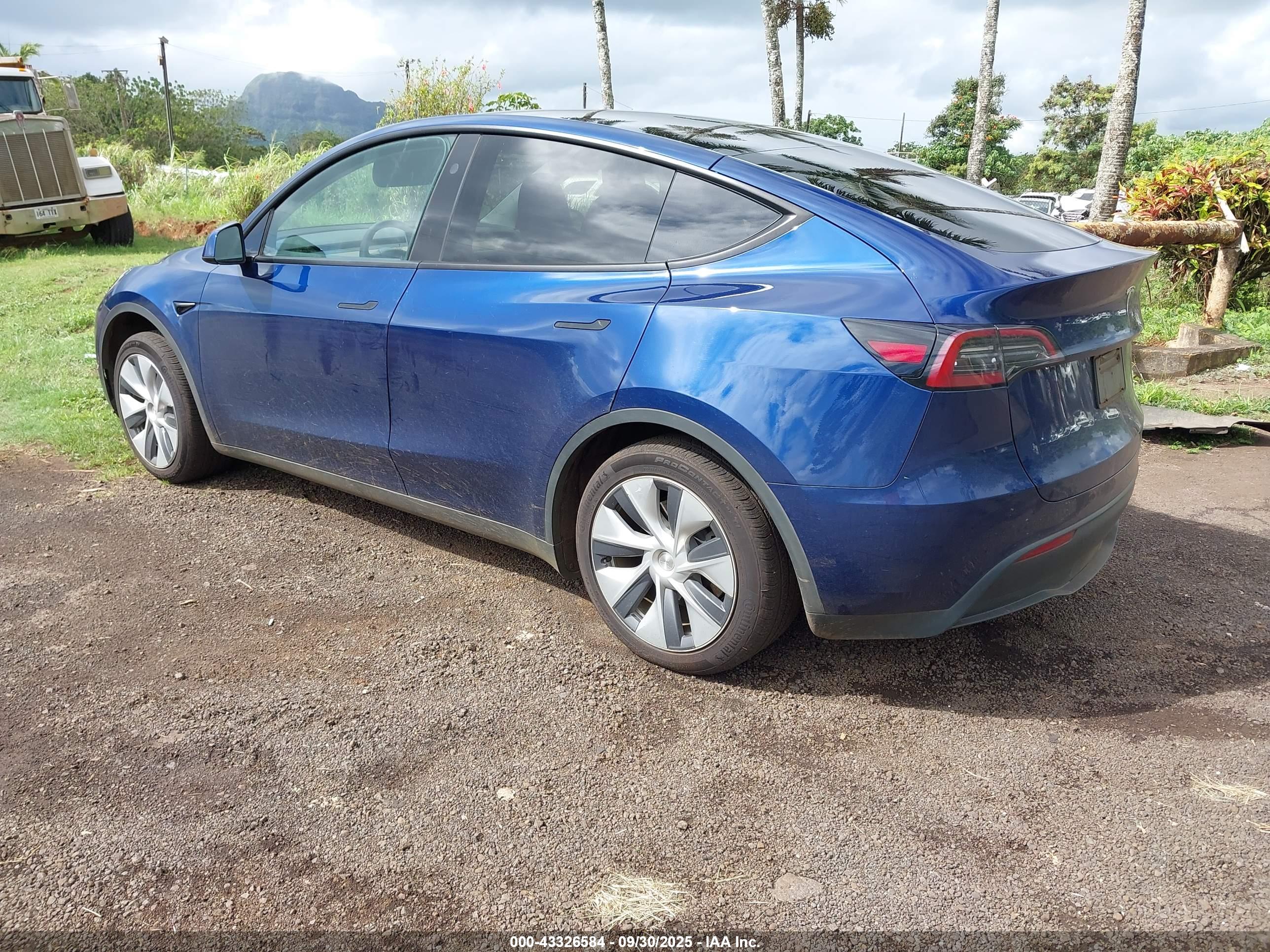 TESLA MODEL image 3