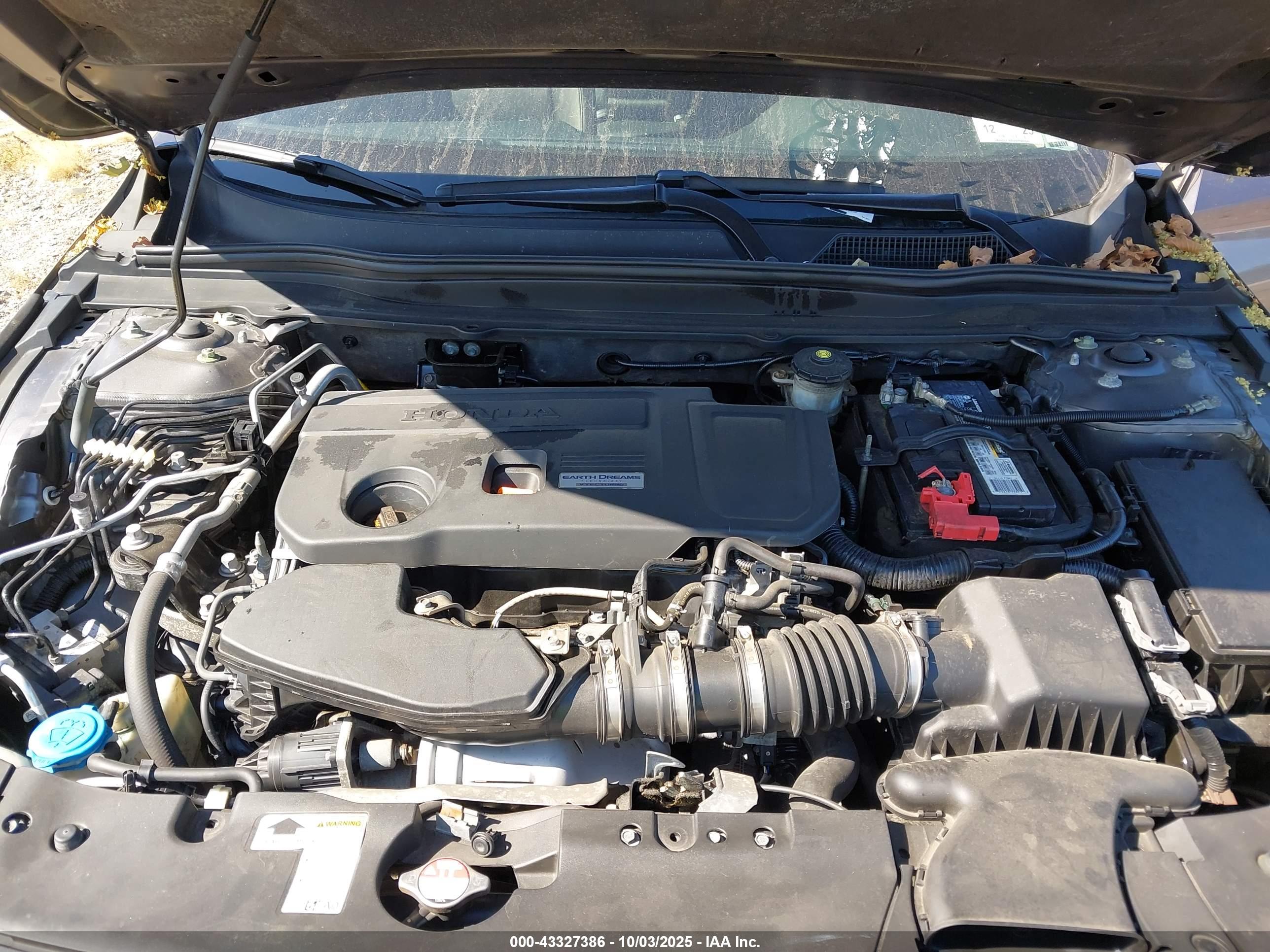 HONDA ACCORD image 10