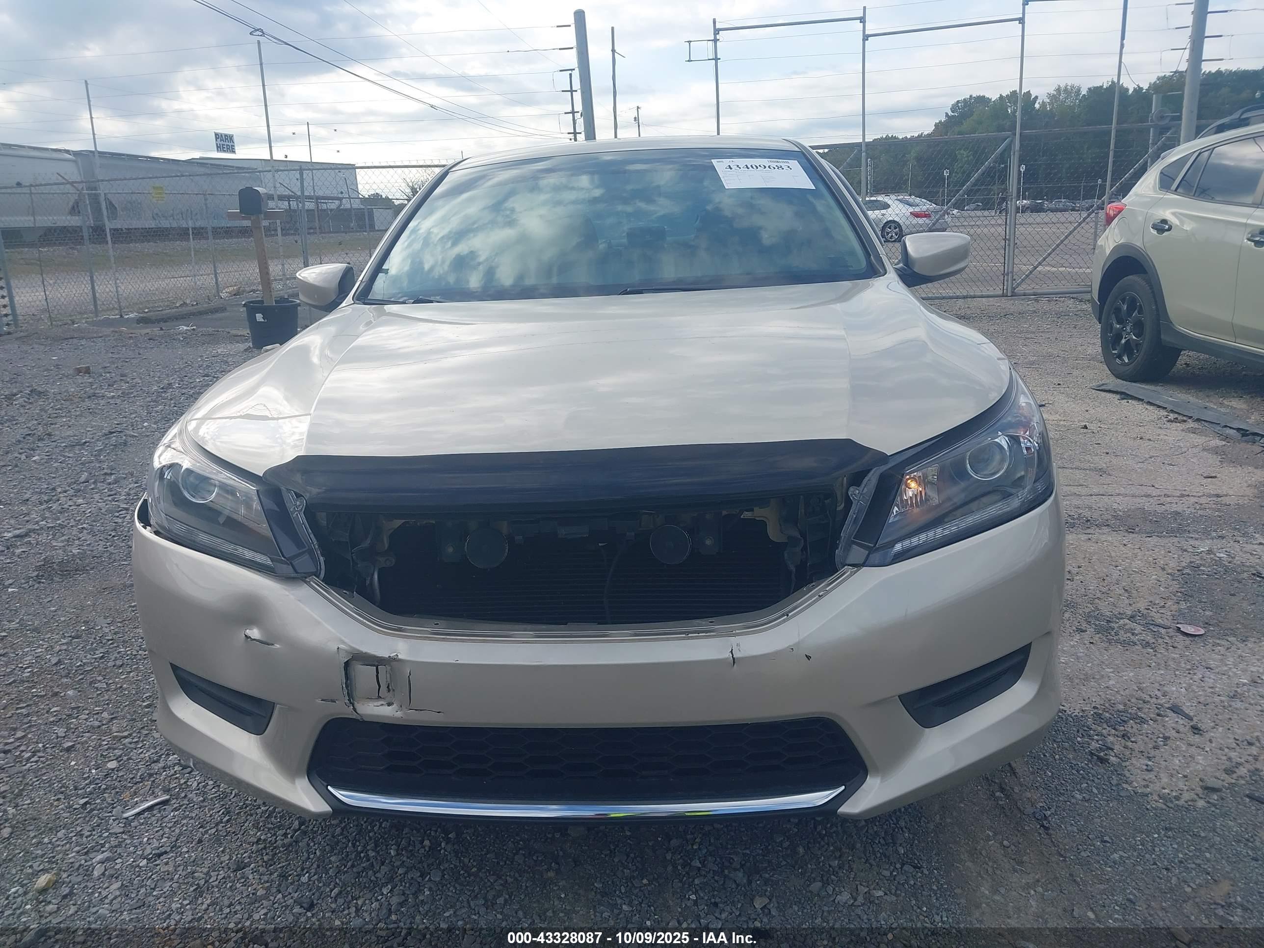 HONDA ACCORD image 6