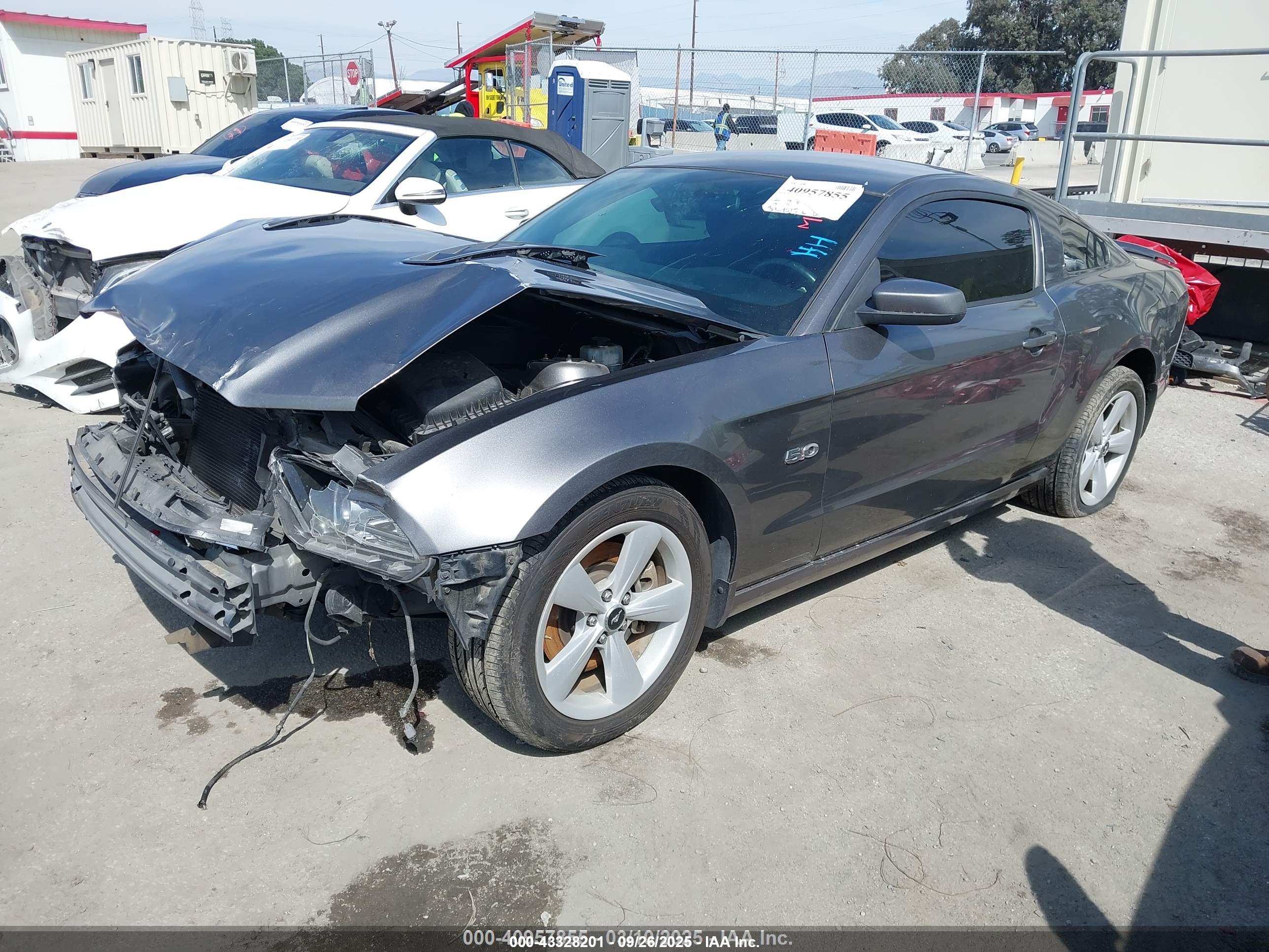 FORD MUSTANG image 2