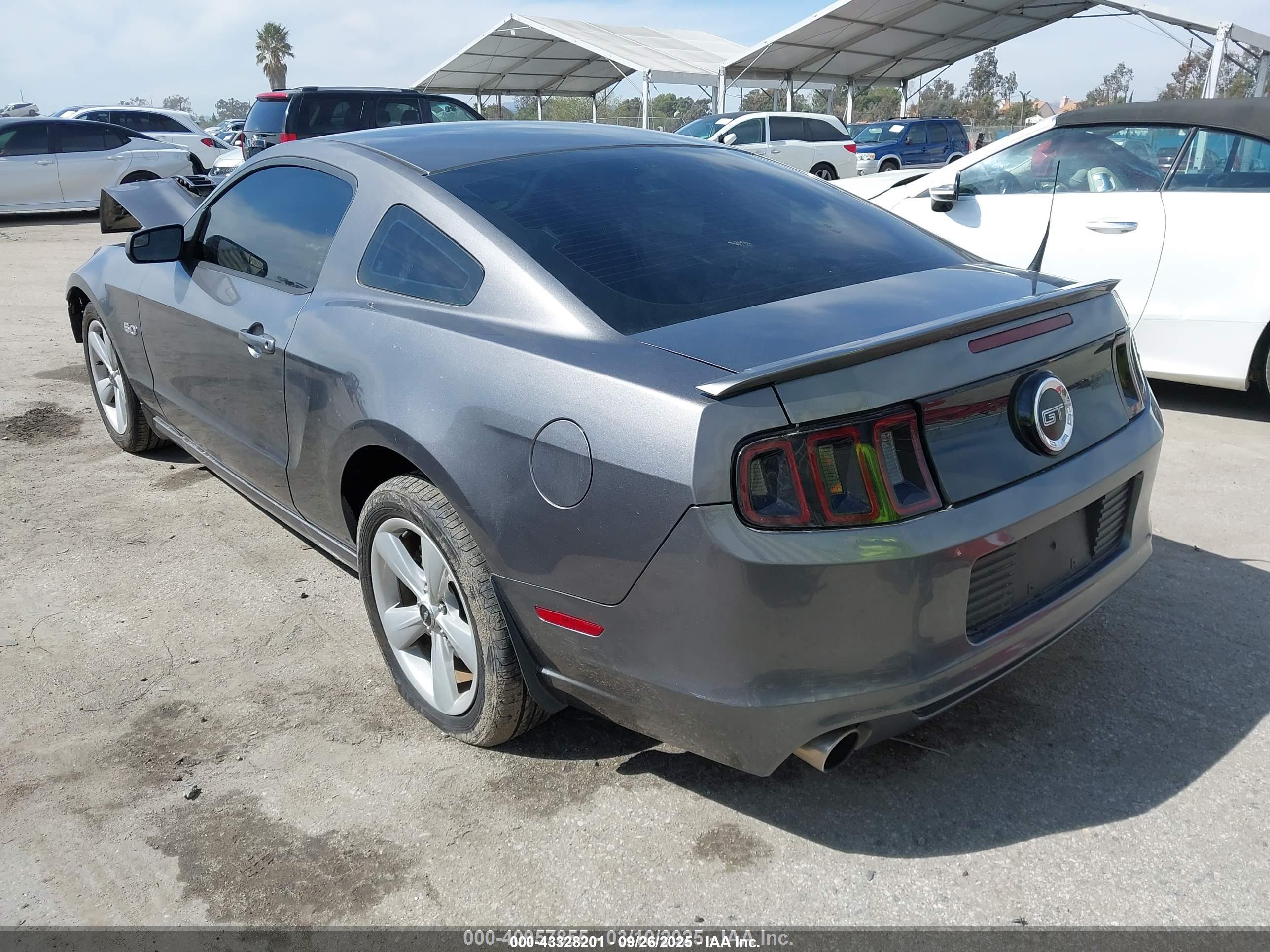 FORD MUSTANG image 3