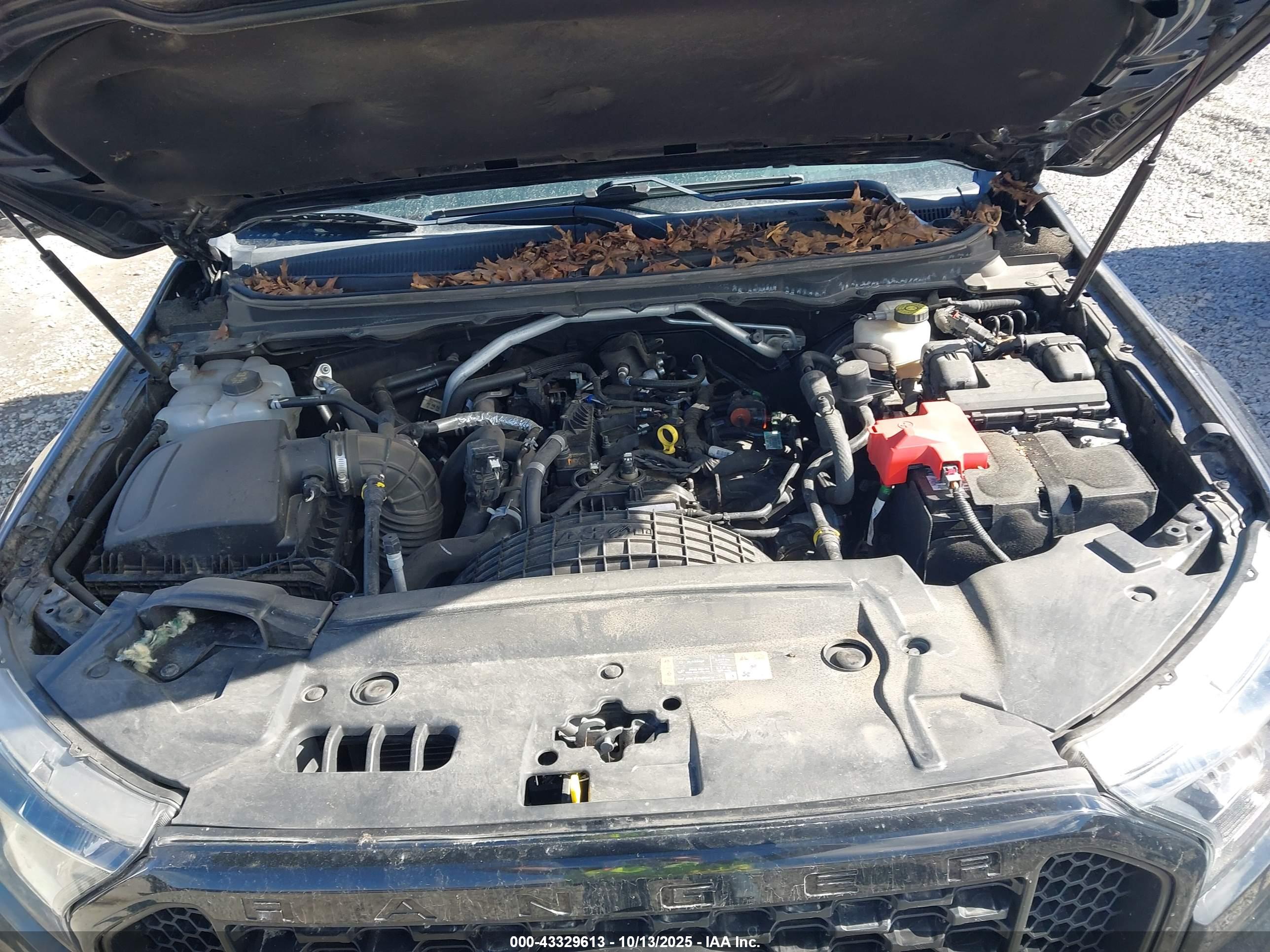 FORD RANGER image 10