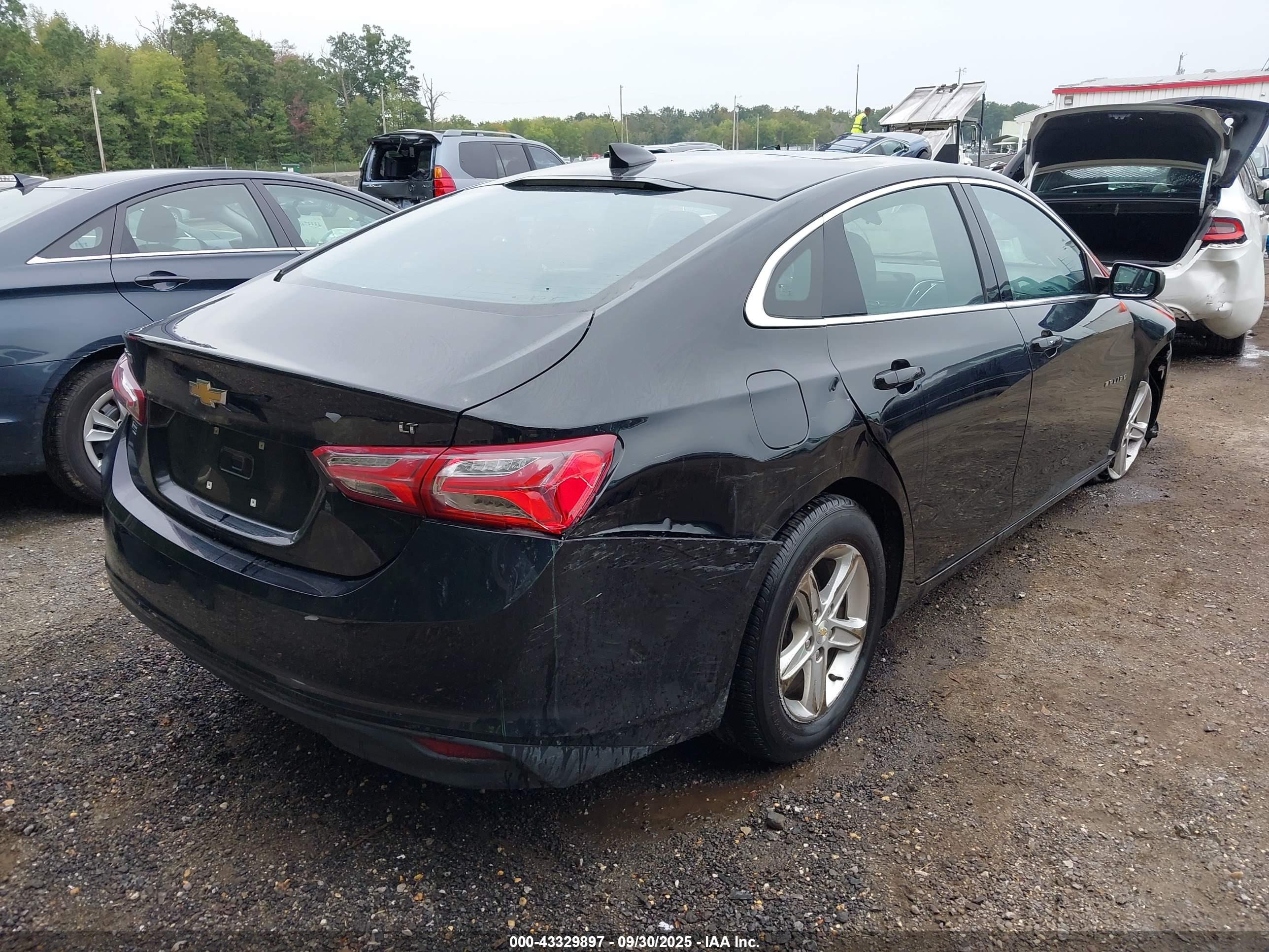 CHEVROLET MALIBU image 4